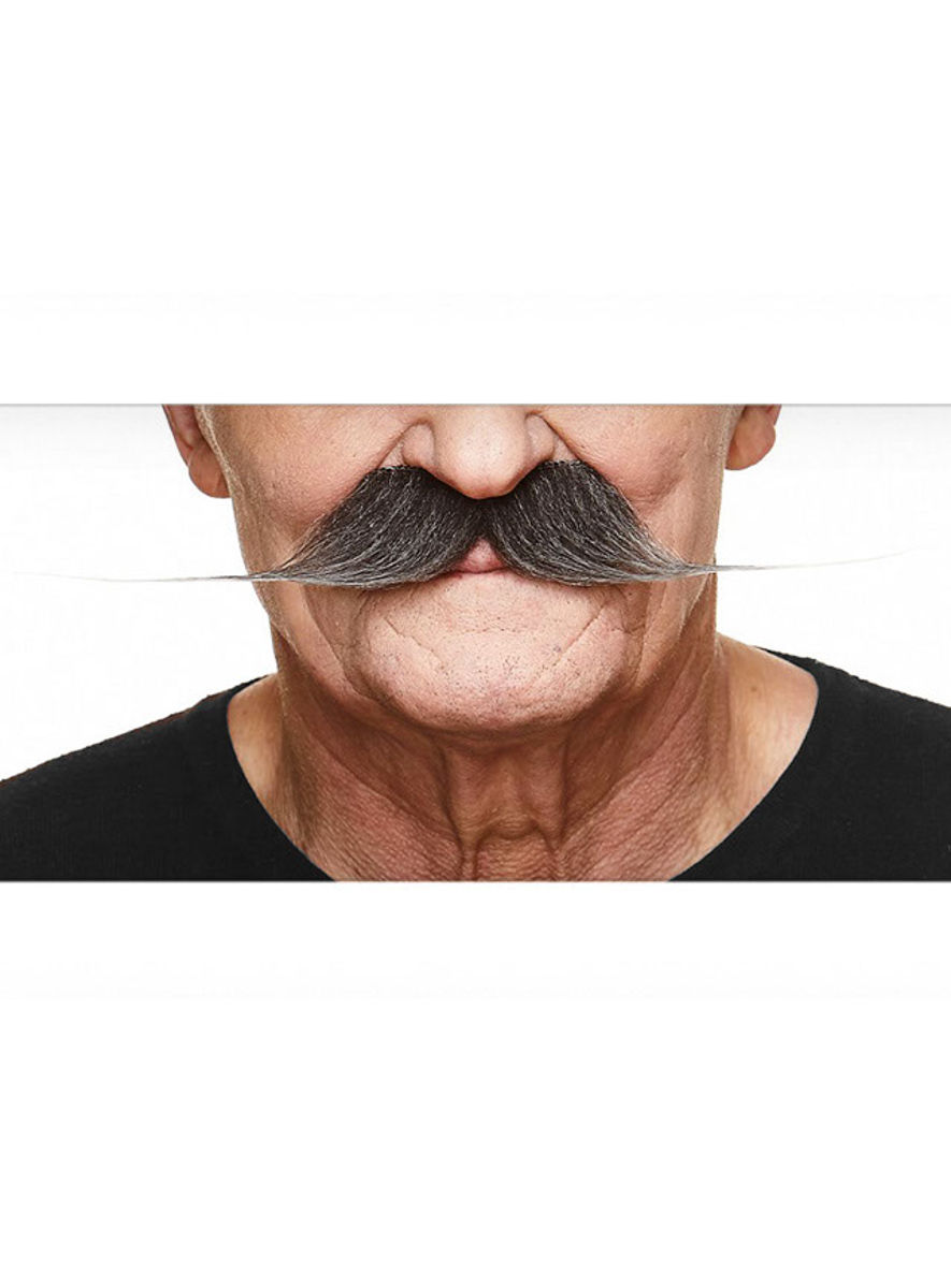 Englischer Moustache Schnurrbart