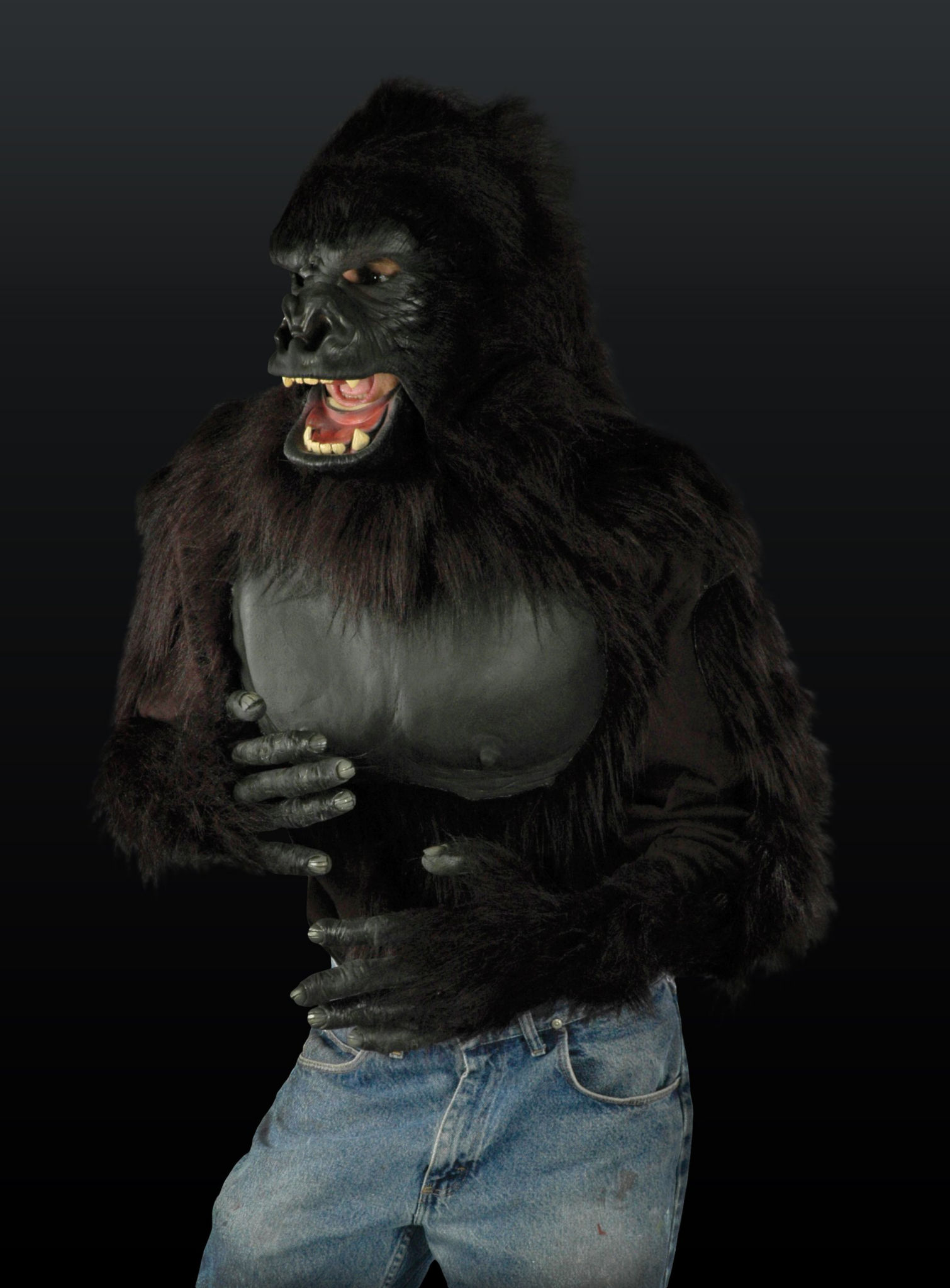 Gorilla Bovenlichaam