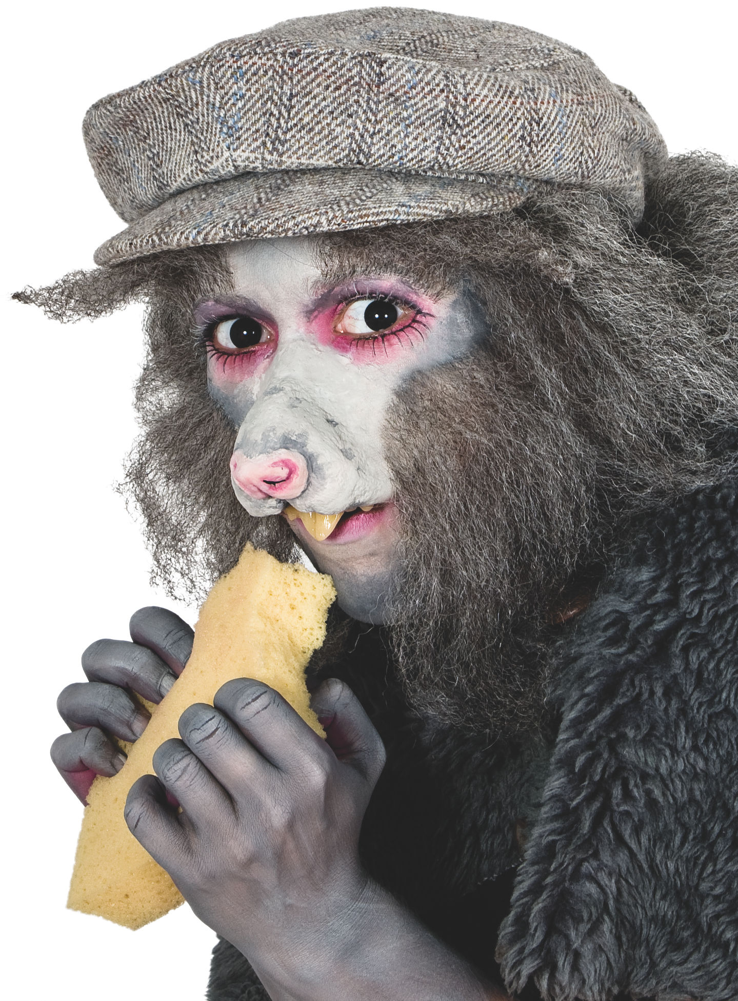 Ratte Latexschnauze mit Mastix
