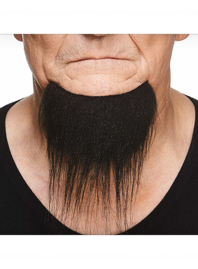 Goatee Kinnbart