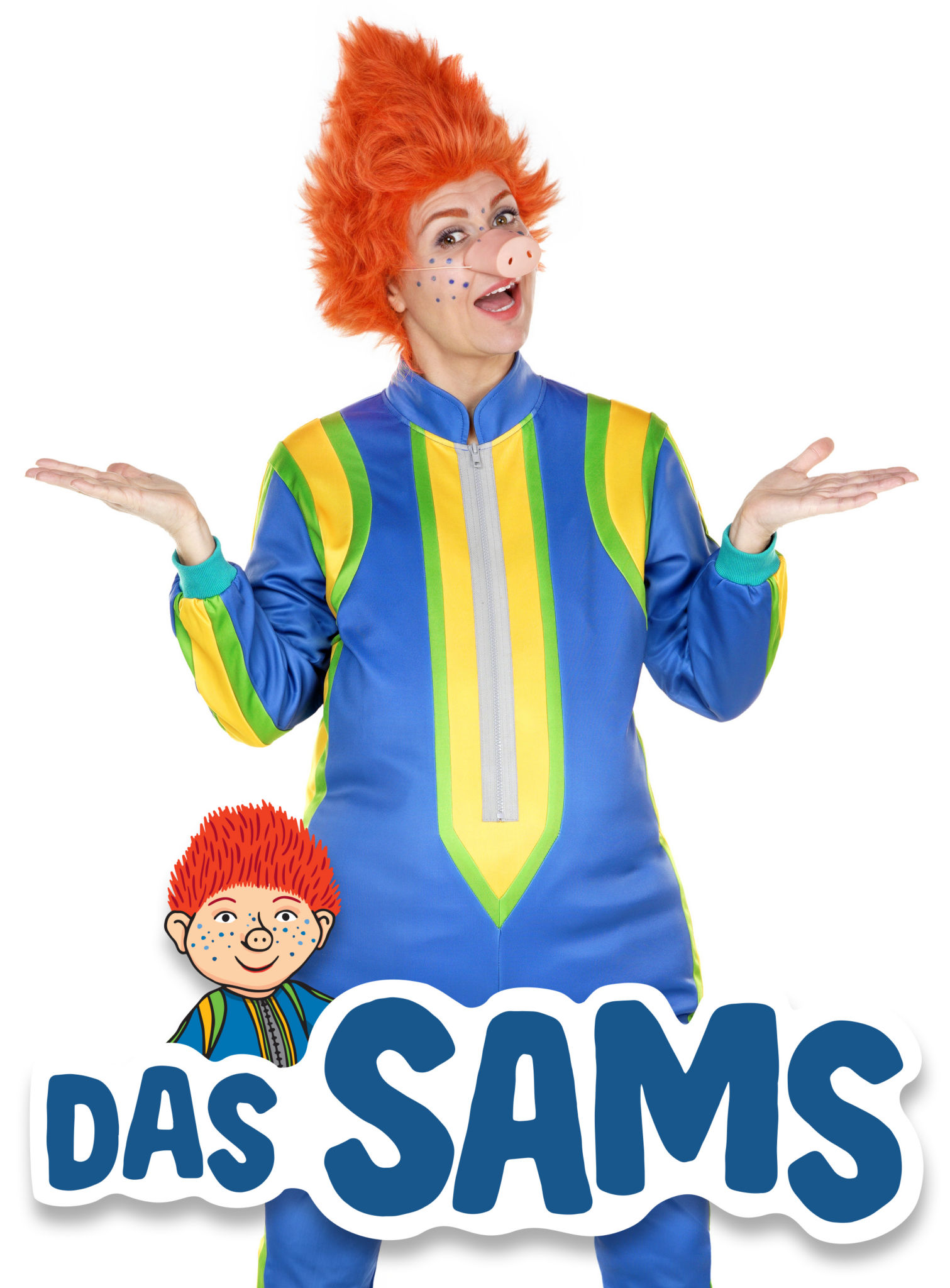 Das Sams – Perücke