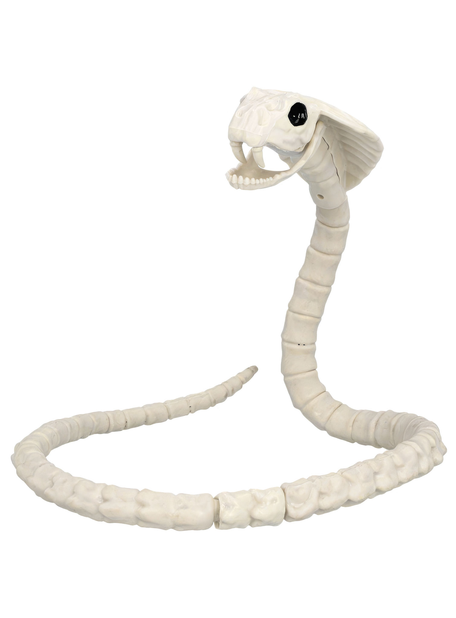 Slangenskelet