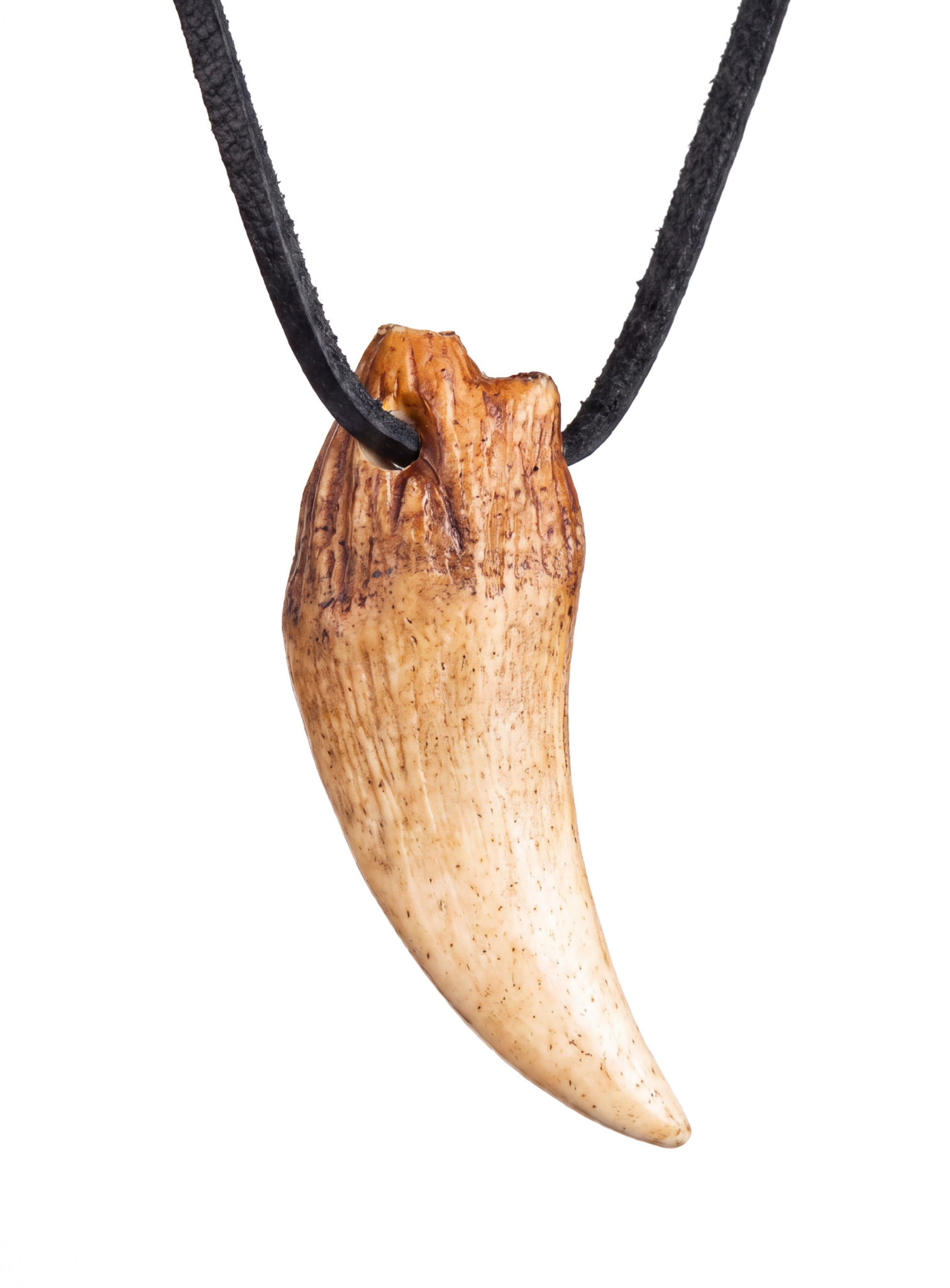 Reißzahnkette aus Gießharz