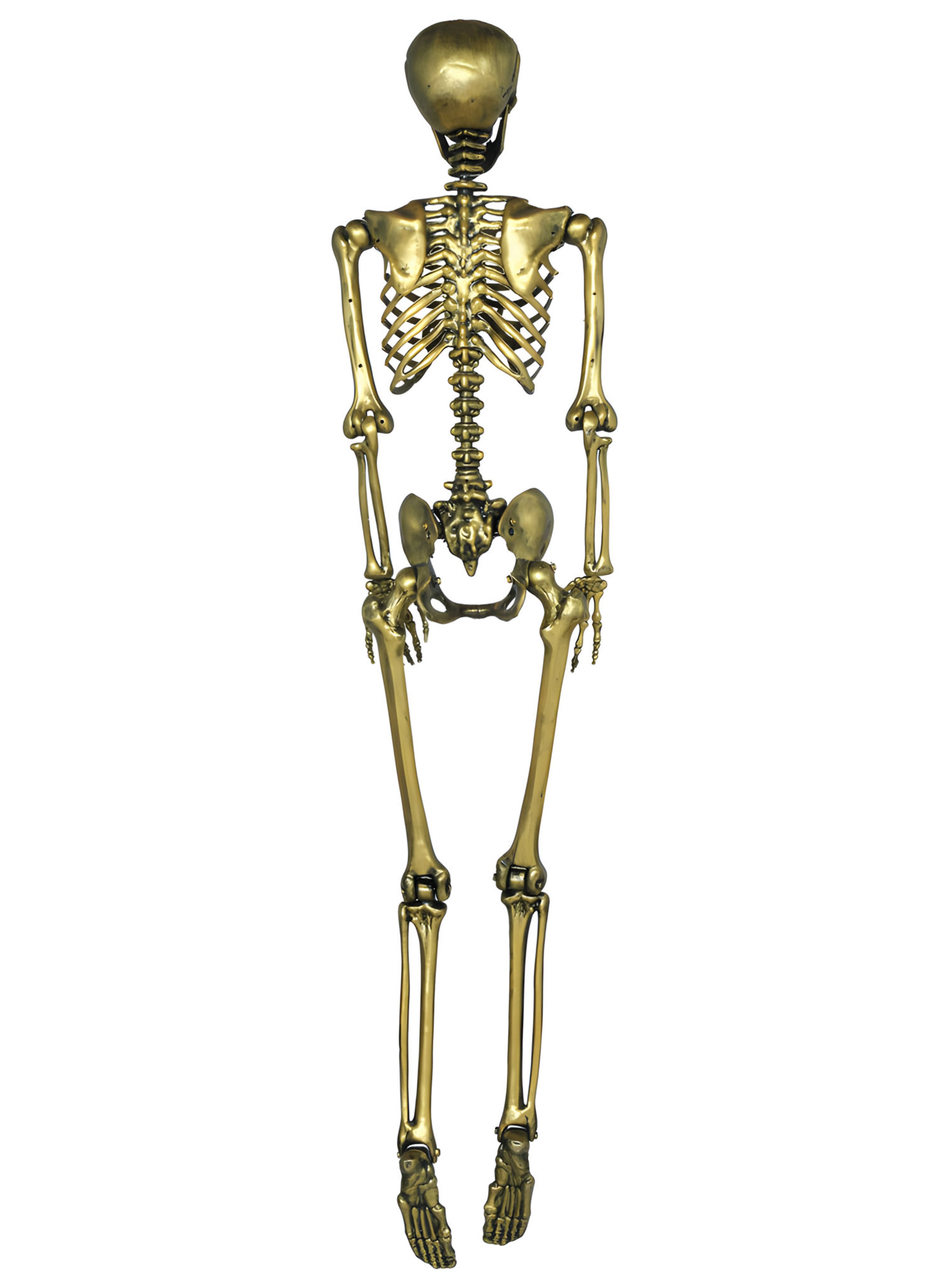 Goldenes Skelett – Halloweendeko 90 cm