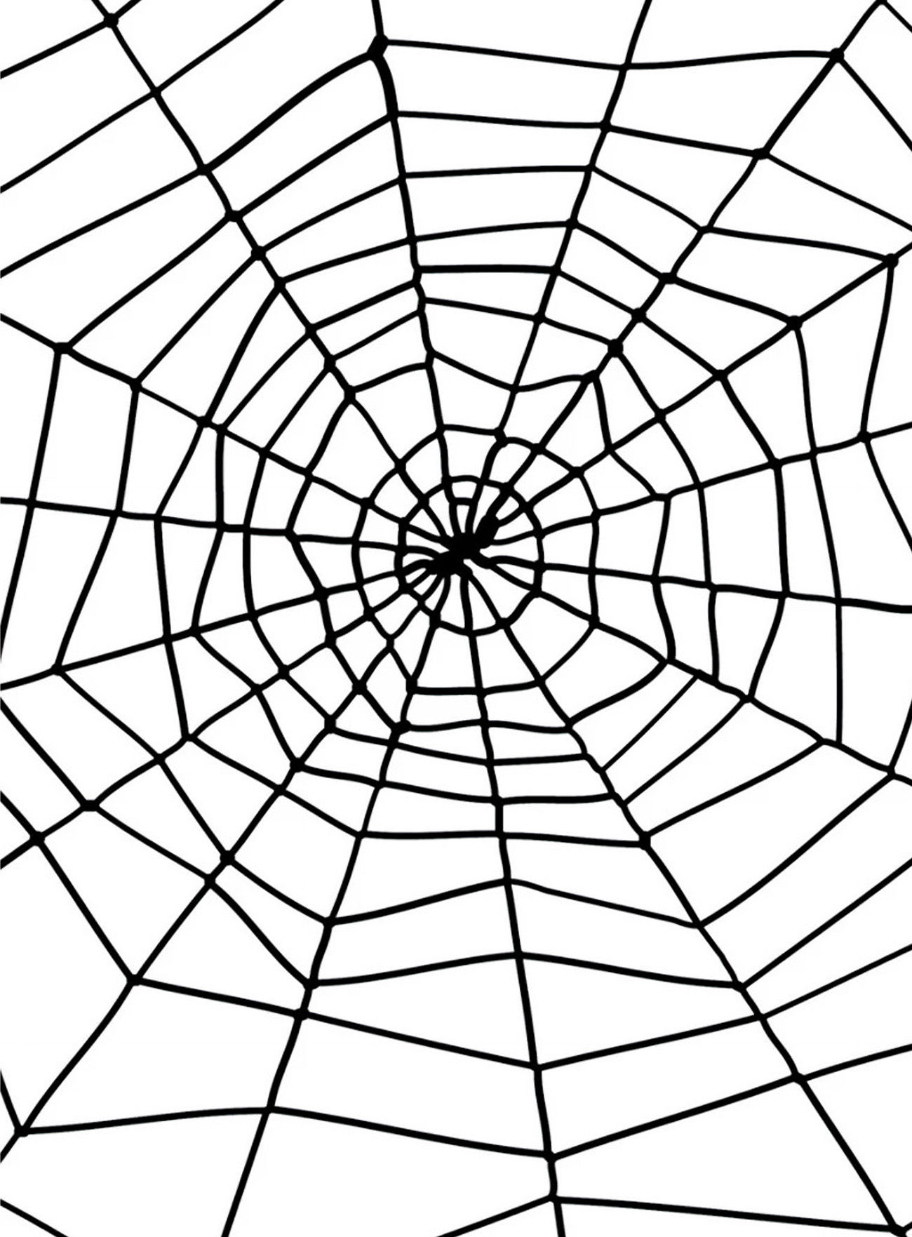 Nylon Spinnenweb Halloween Decoratie 150 cm