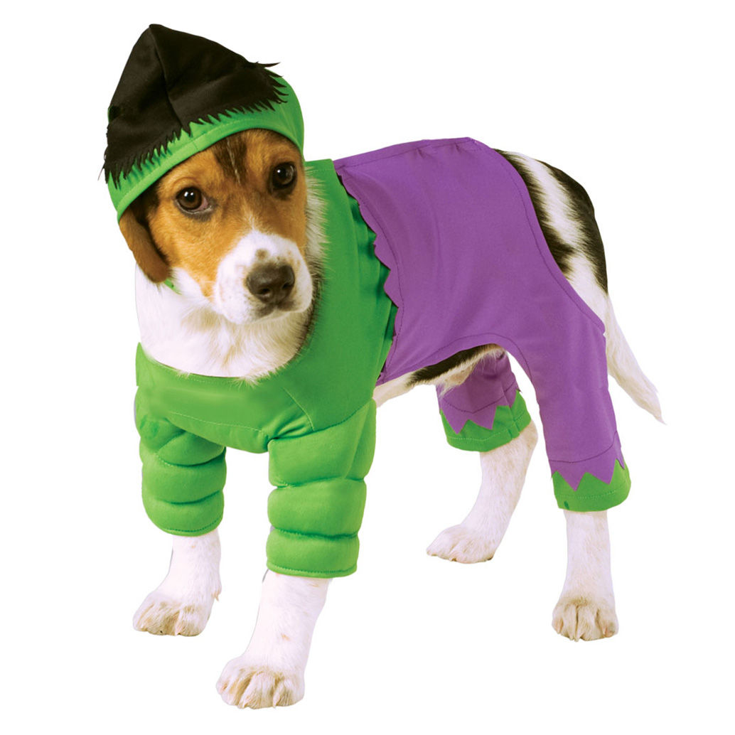 Hulk Hundekostüm