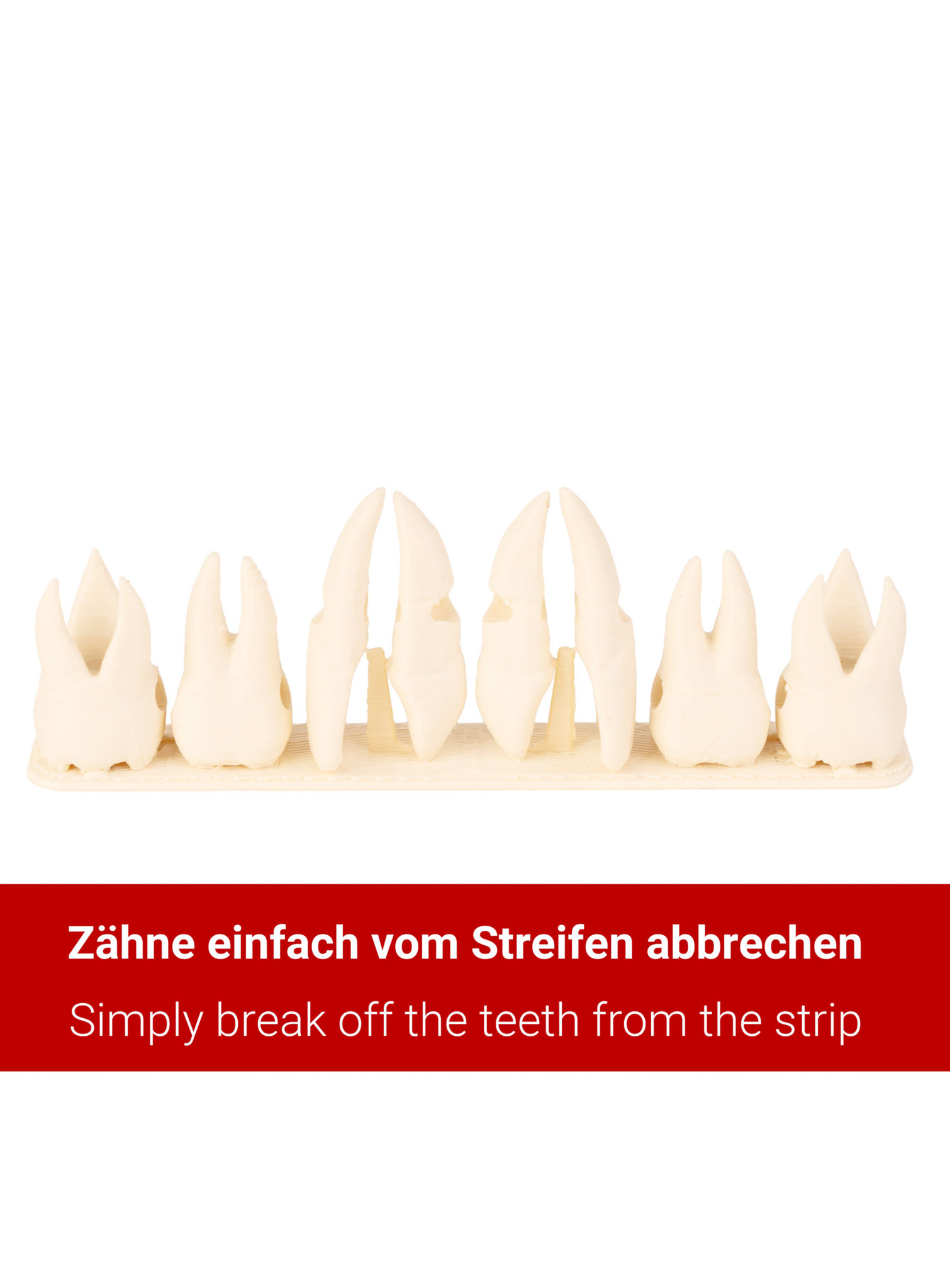 3D-Druck - 8 Stk. menschliche Zähne als Anhänger mit Lederband
