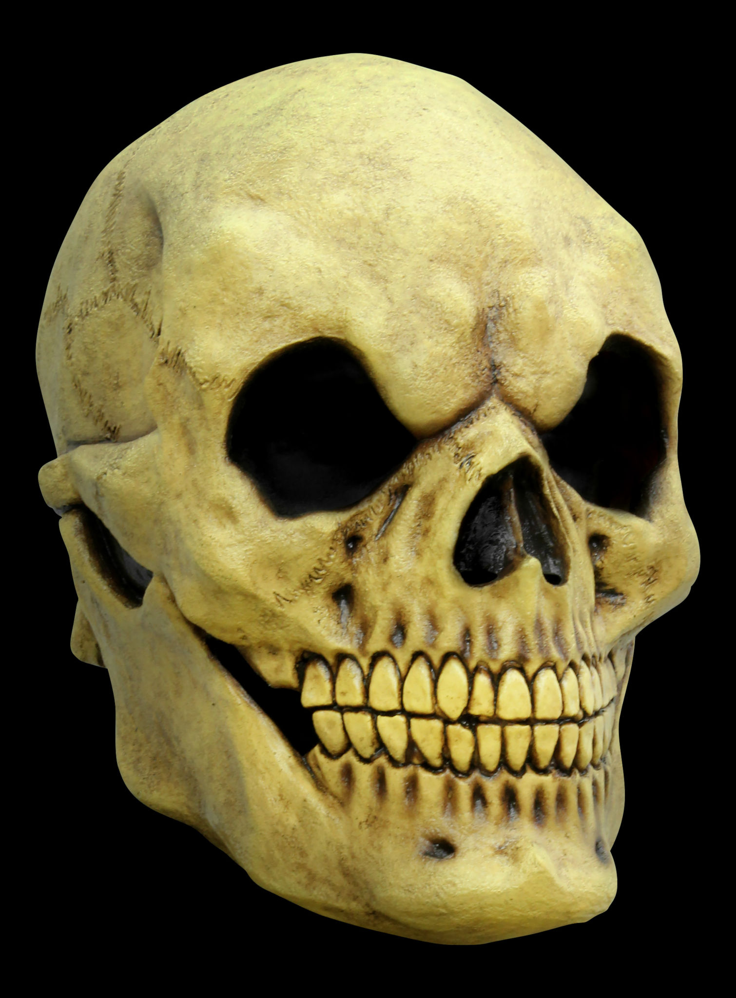 Vergilbter Schädel Maske des Grauens