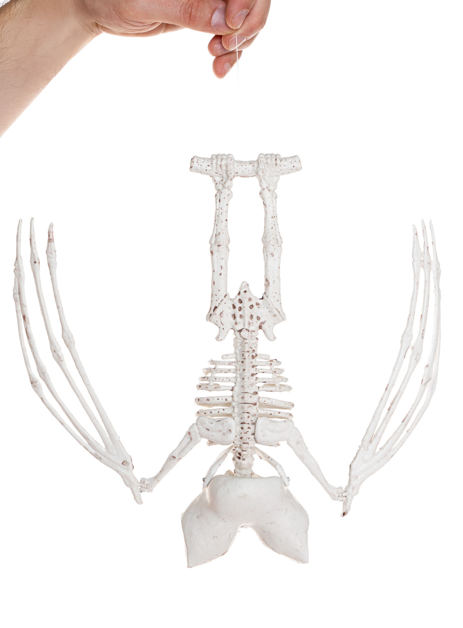 Große Fledermaus Halloween Deko