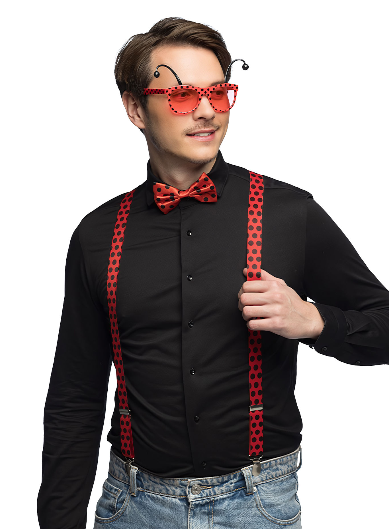 Lieveheersbeestje kostuumaccessoires