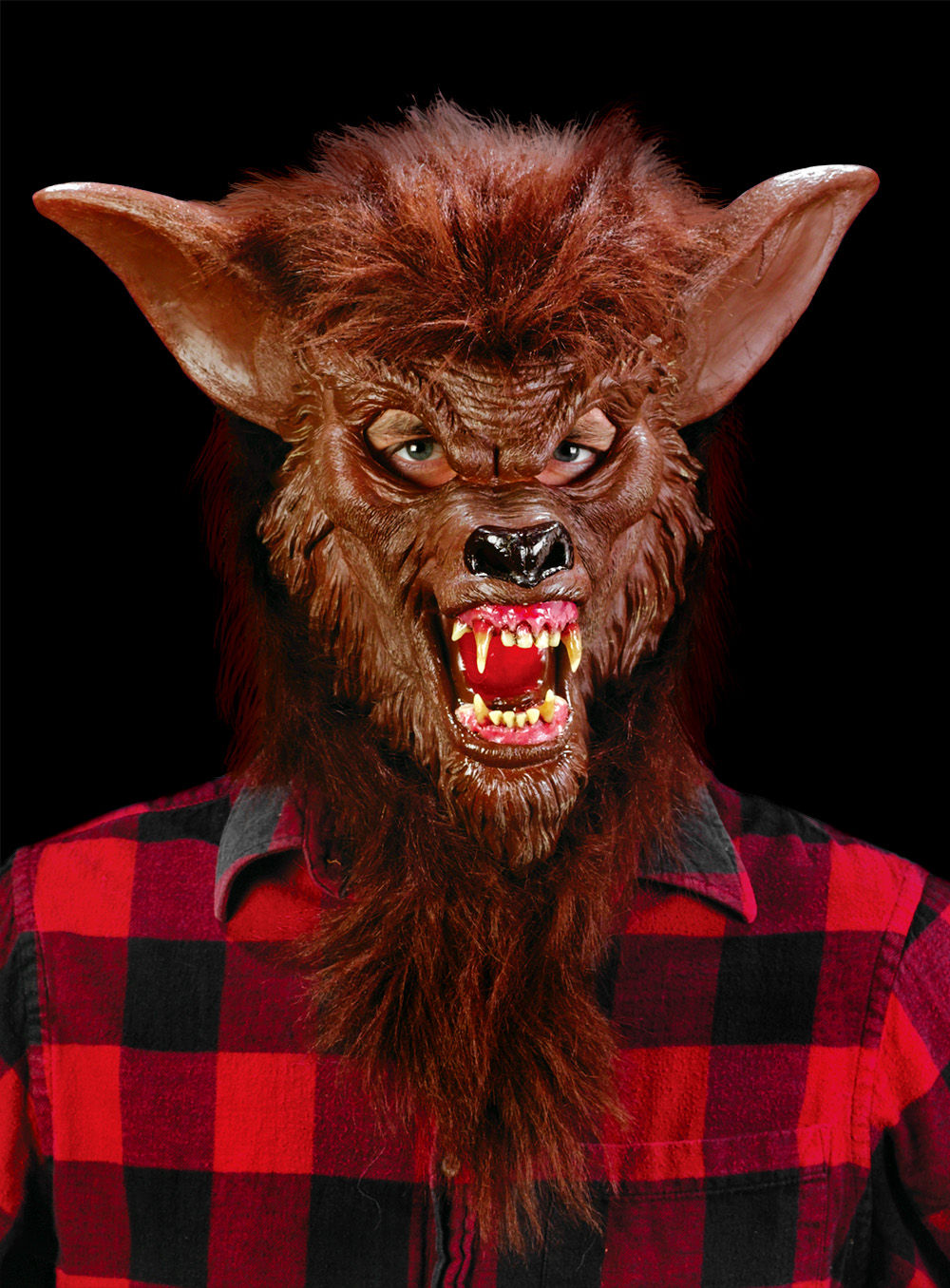 Weerwolf Bruine Masker