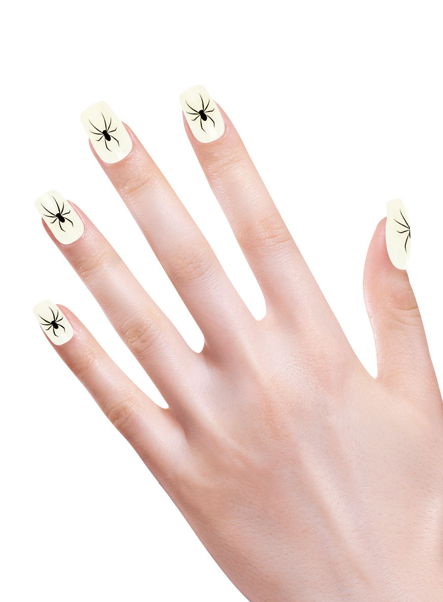 Spinnen Fingernägel