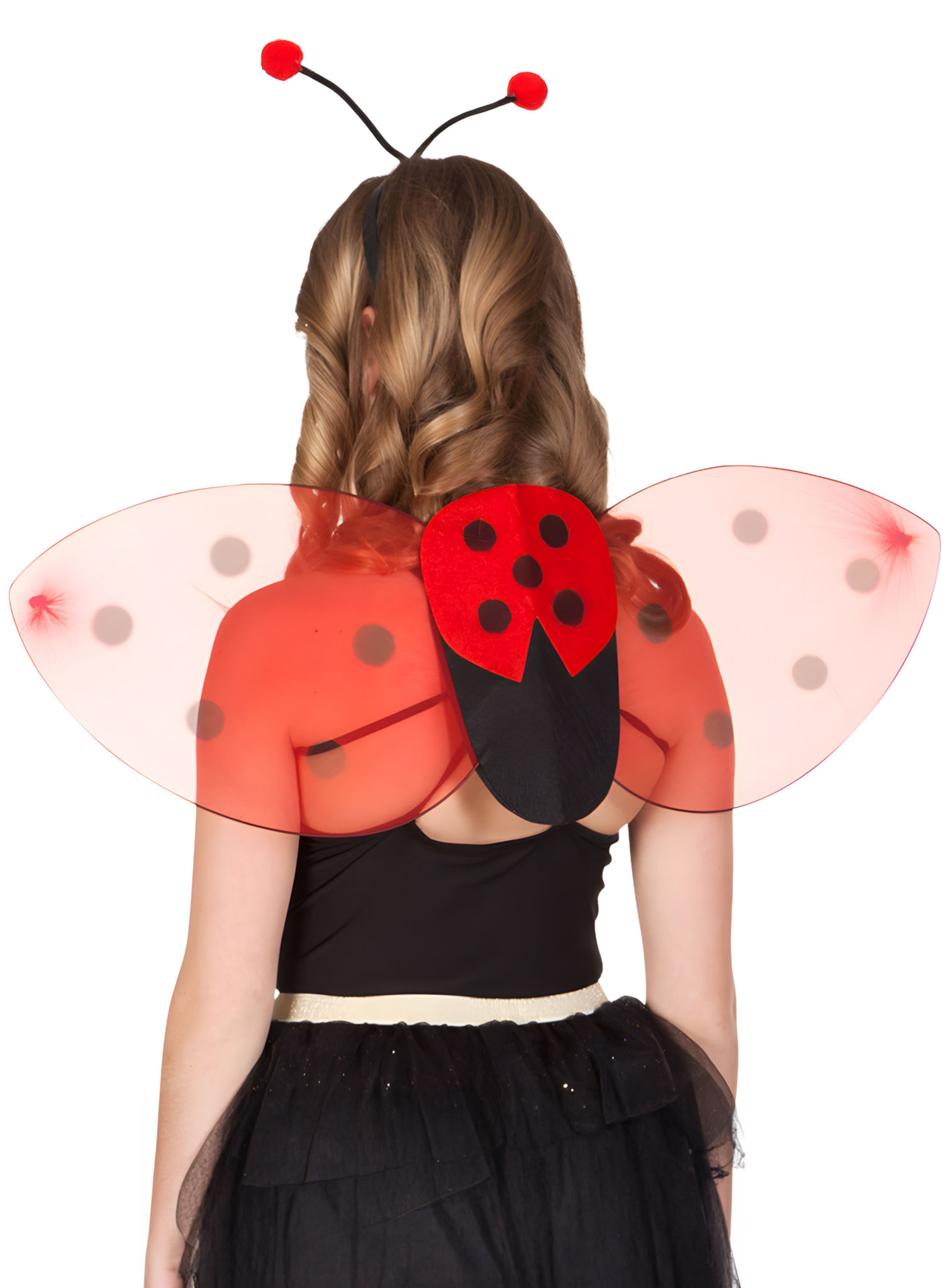 Lieveheersbeestje Accessoire Set