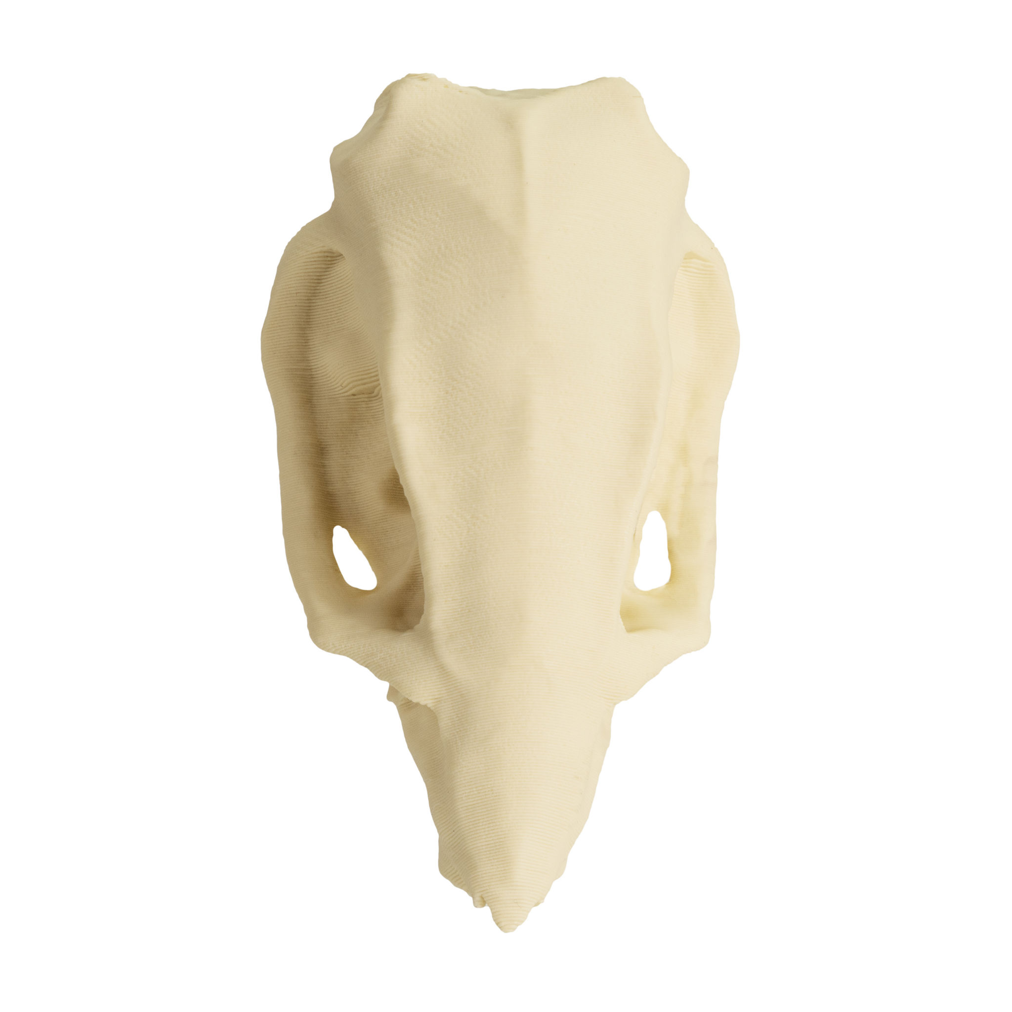 3D-Druck Rattenschädel zum Selbstbemalen (7cm)