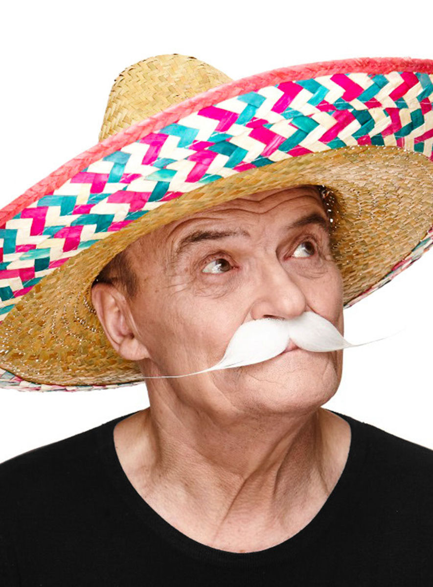 Englischer Moustache Schnurrbart