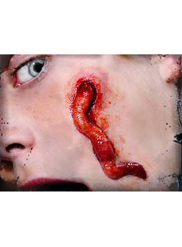Würmer 3D FX Transfers