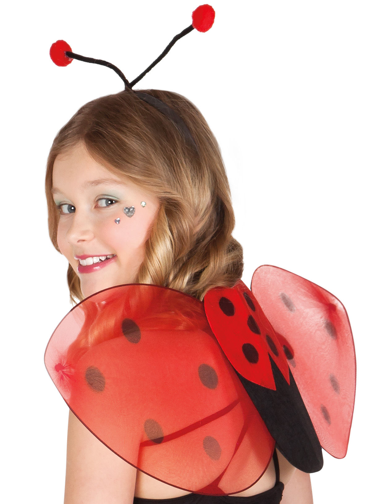 Lieveheersbeestje Accessoire Set