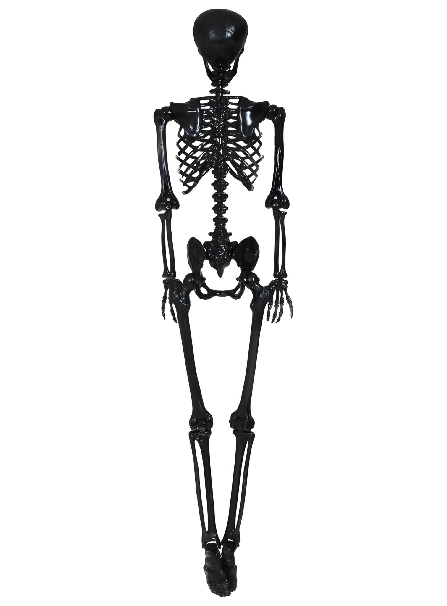 Schwarzes Skelett – Halloweendeko 160 cm