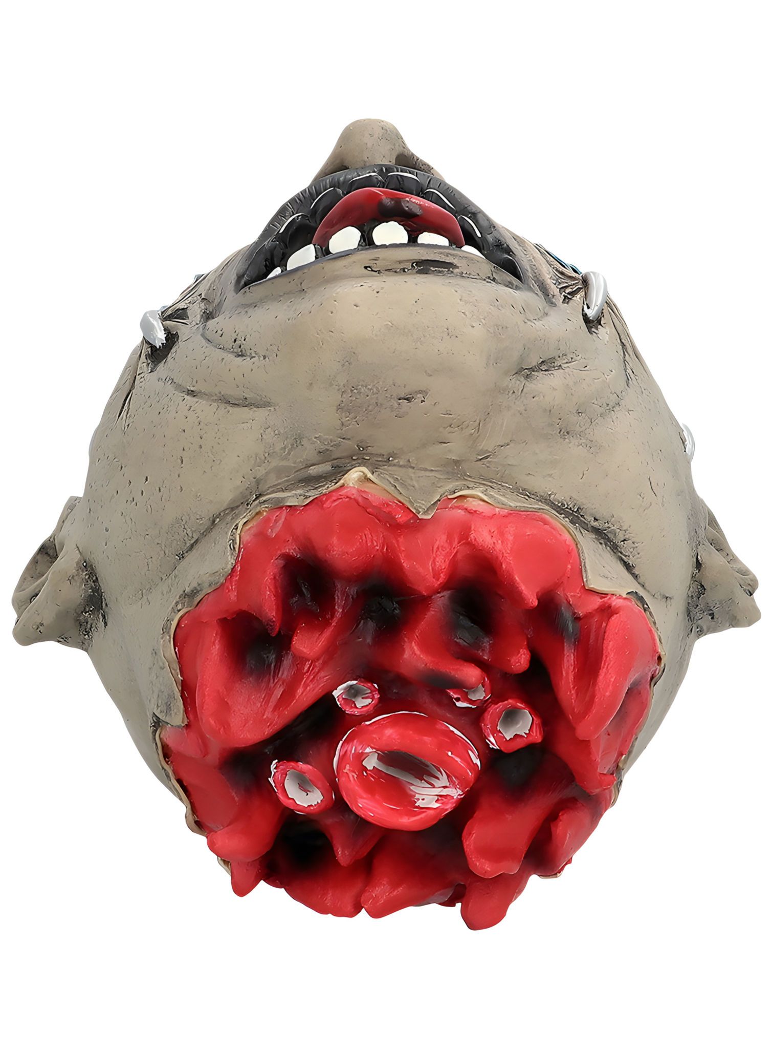 Folteropfer Kopf – Halloweendeko 50 x 21 cm