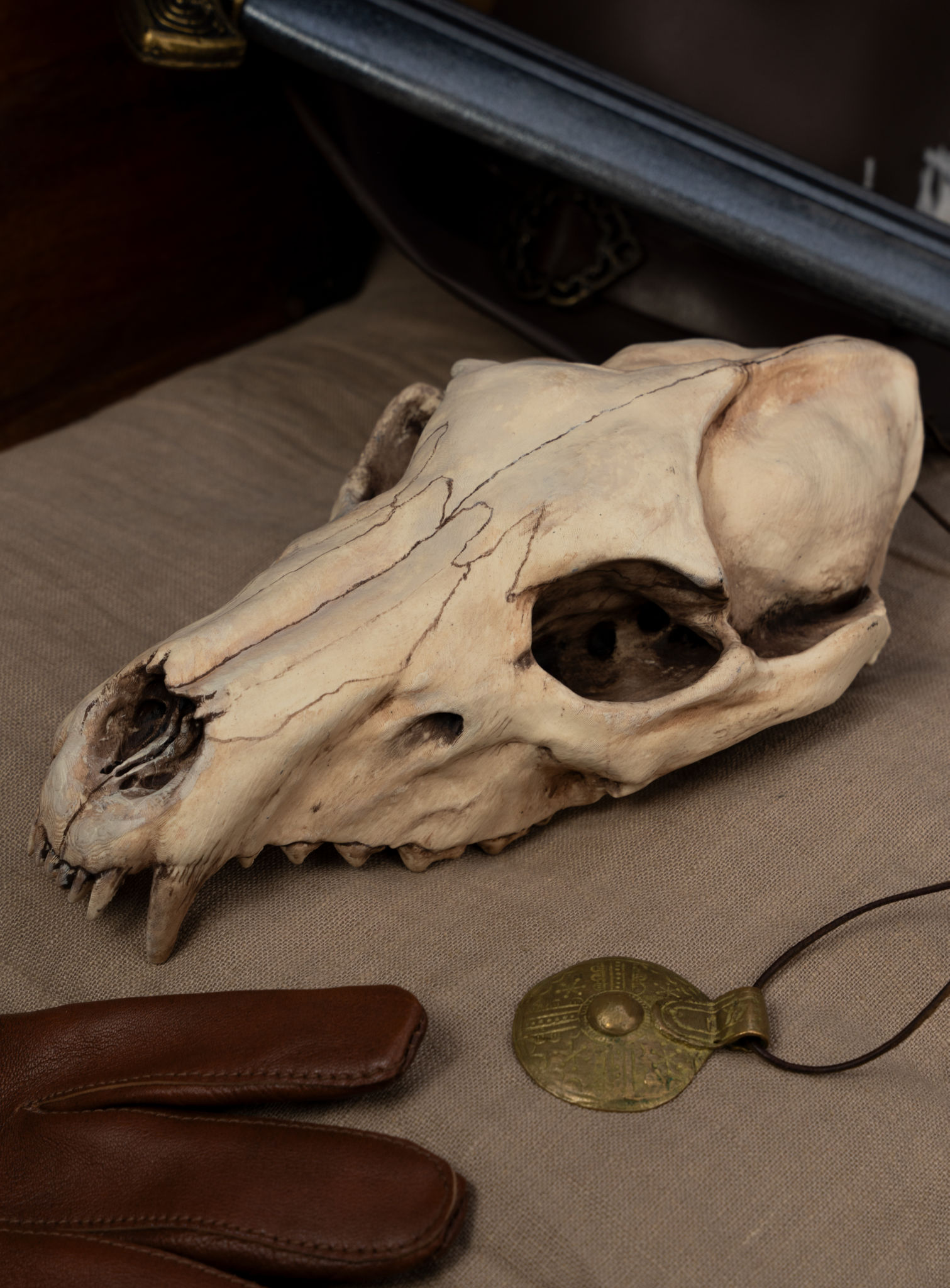 3D-Druck Wolfsschädel zum Selbstbemalen (25 cm)