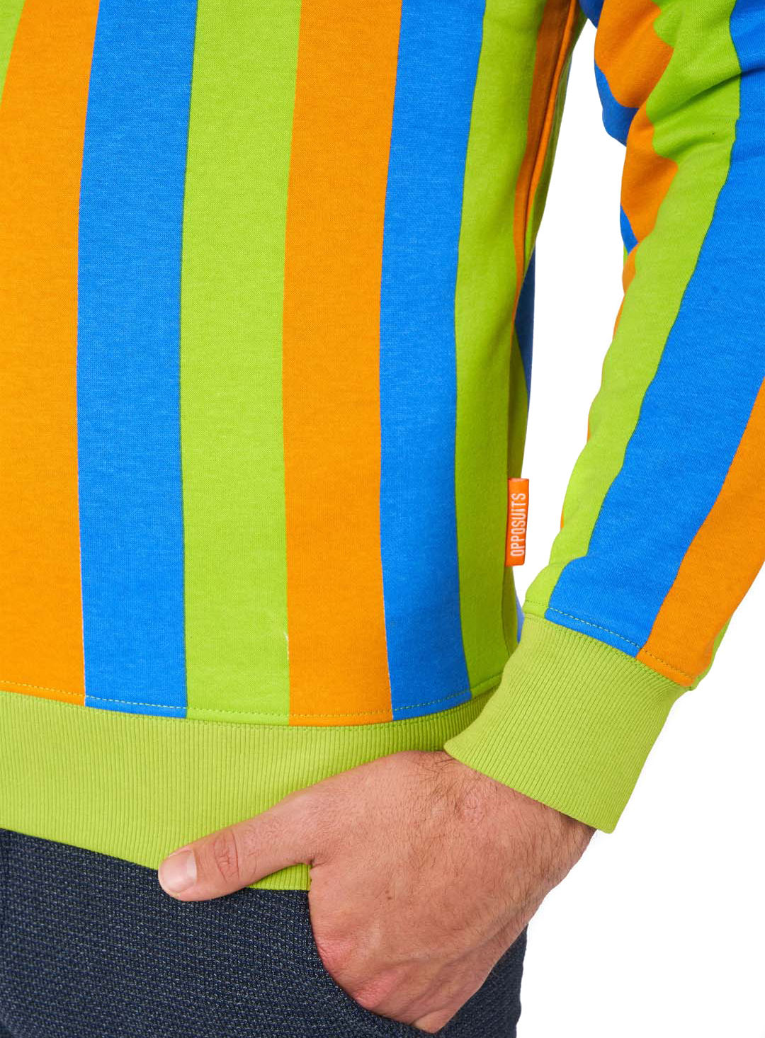 OppoSuits – Sesamstraße Bert Pullover