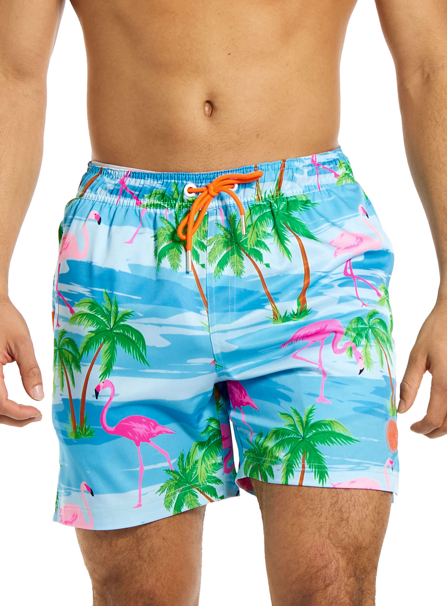 OppoSuits Flaminguy Badehose
