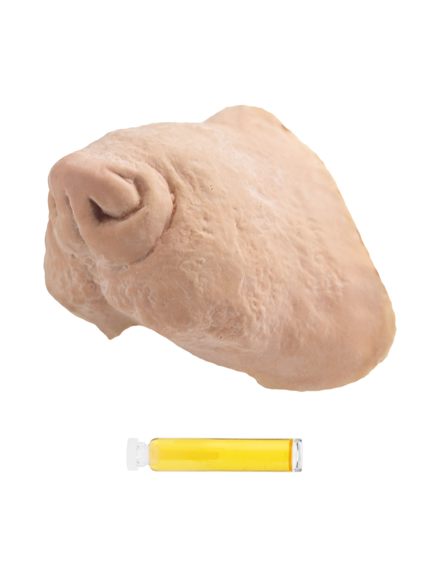 Ratte Latexschnauze mit Mastix