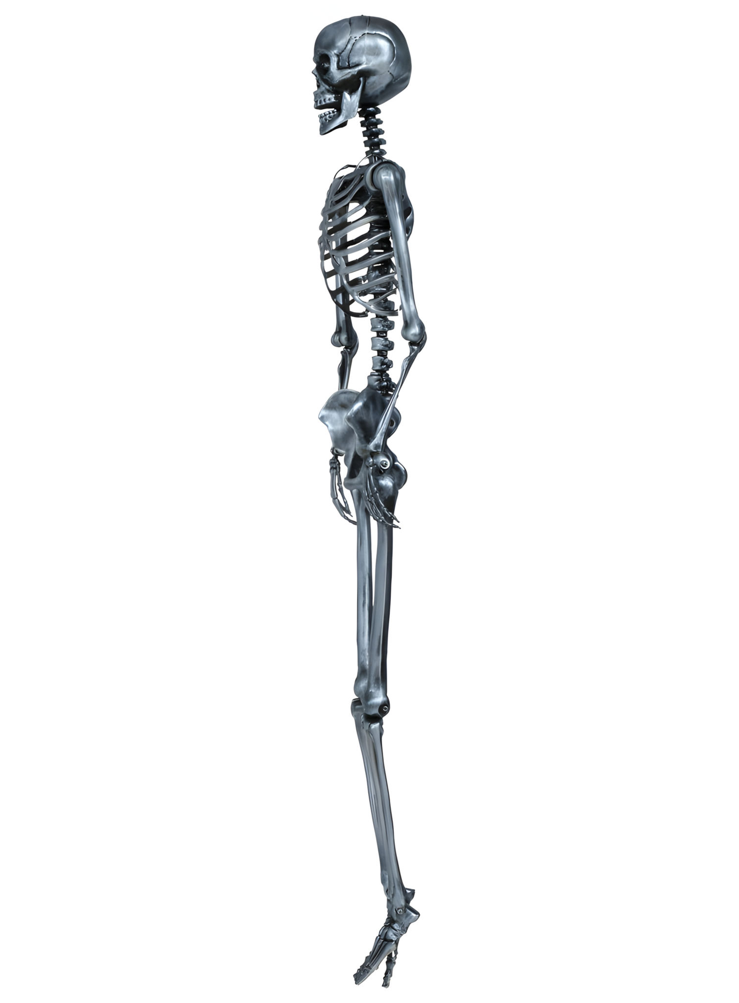 Silbernes Skelett Marius – Halloweendeko 160 cm