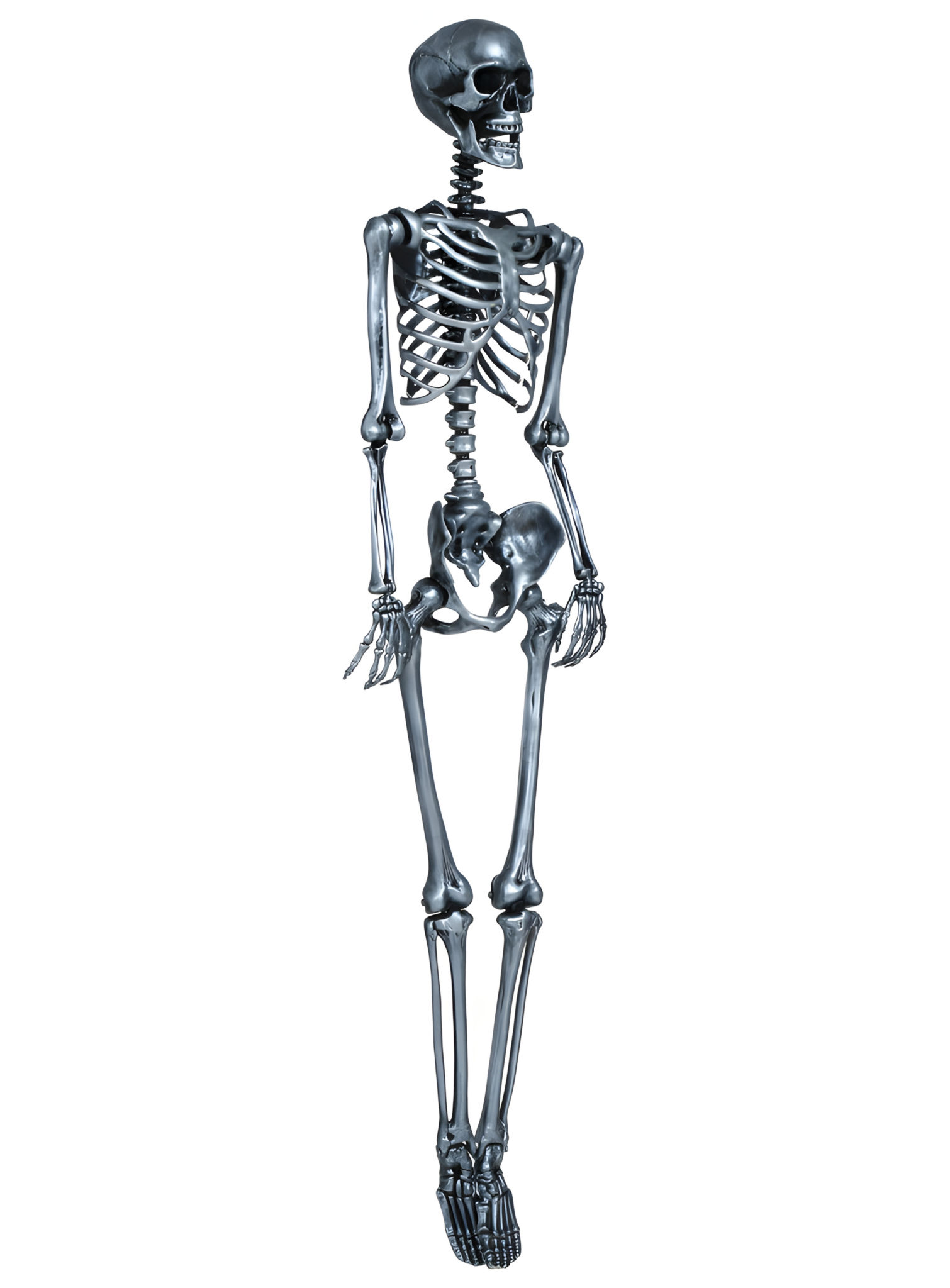 Silbernes Skelett Marius – Halloweendeko 160 cm