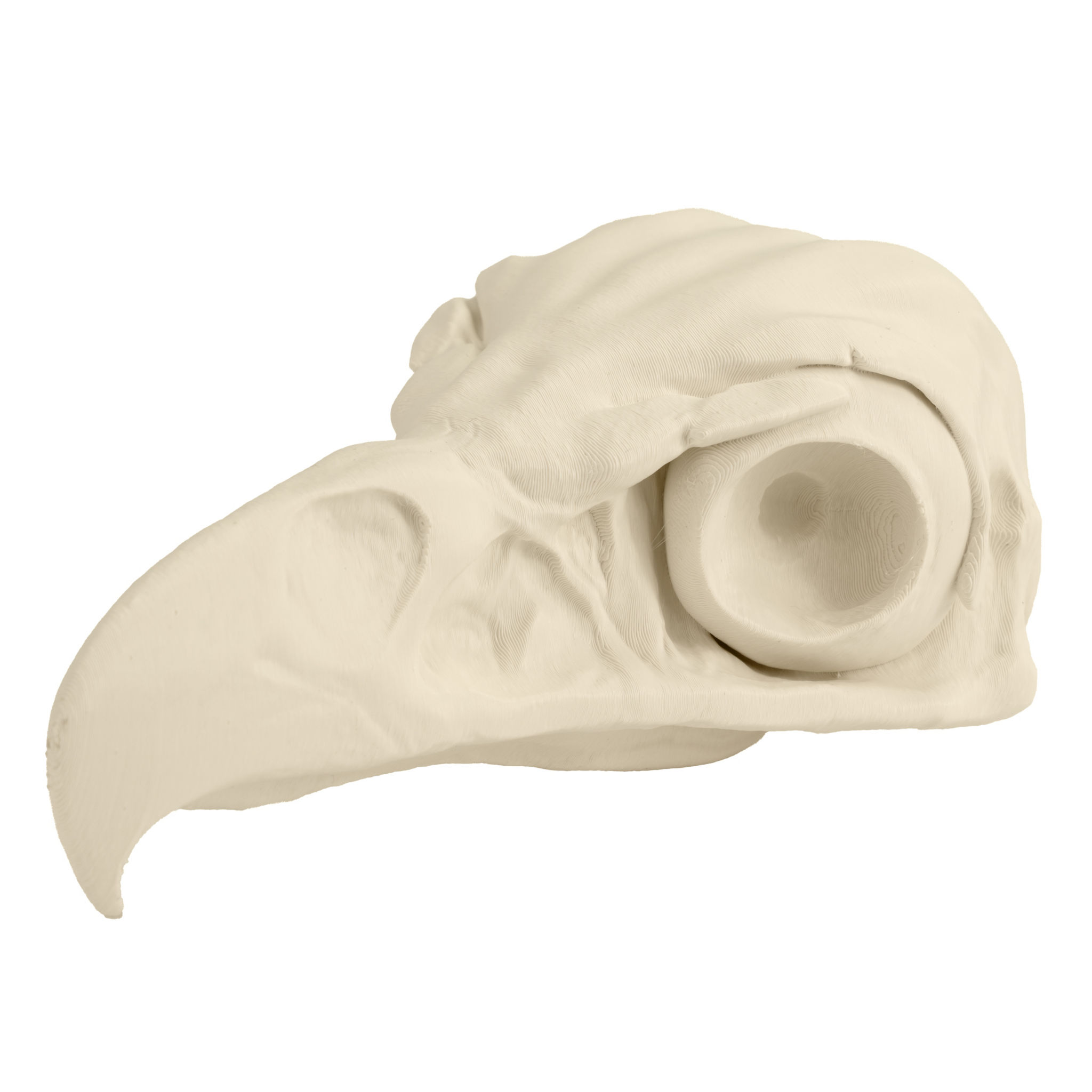 3D-Druck Adlerschädel zum Selbstbemalen (16 cm)