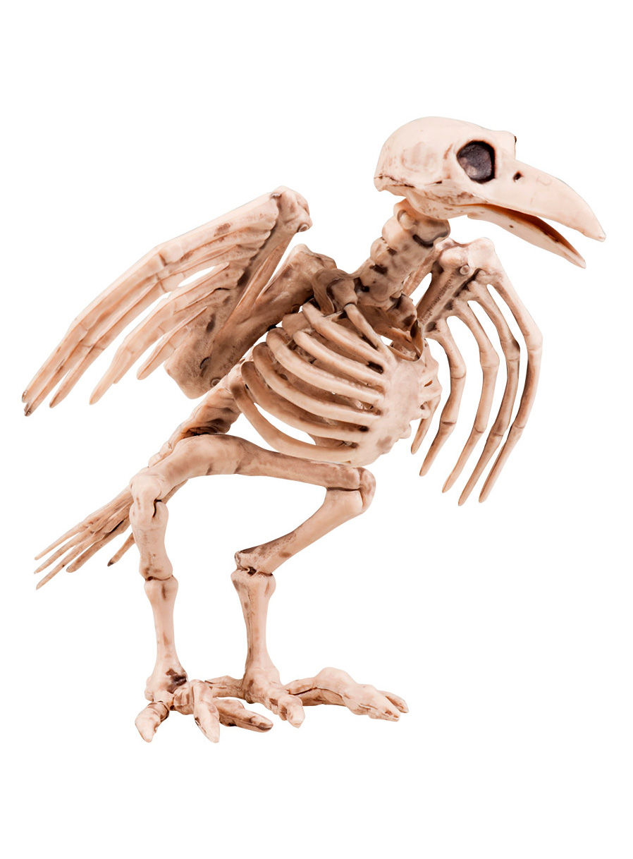 Krähenskelett Halloween Deko
