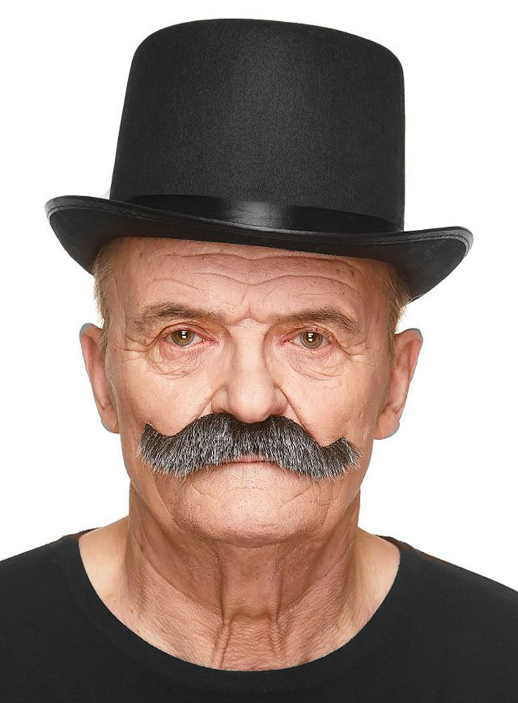 Kaiserbart Schnurrbart