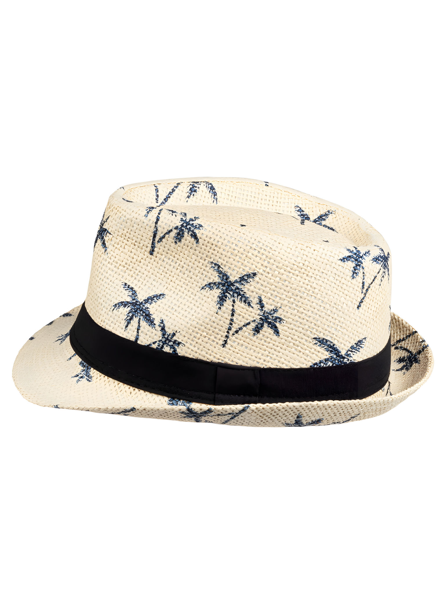 Palmen Sommerhut