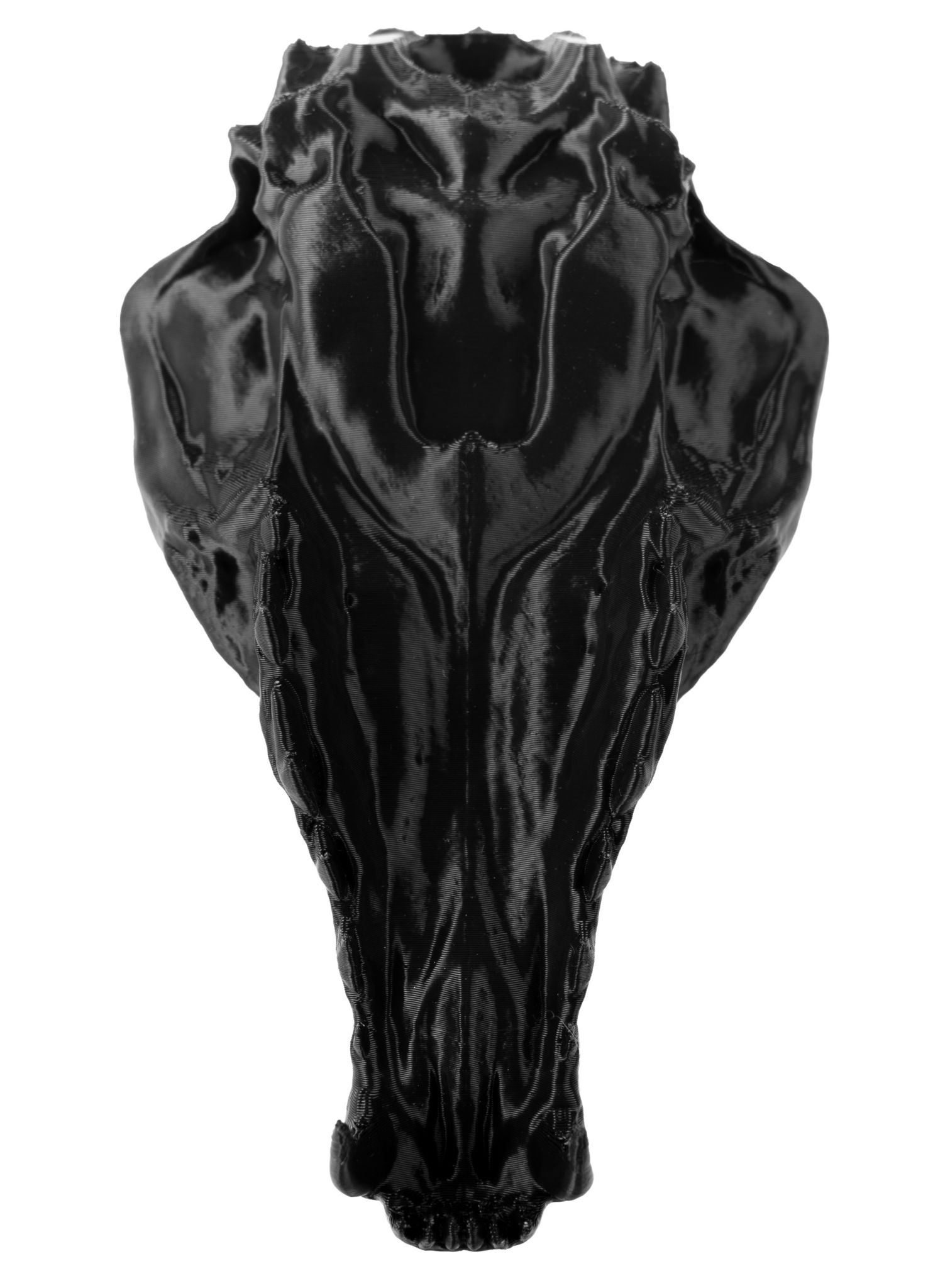 3D-Druck Fuchsschädel zum Selbstbemalen (16 cm)
