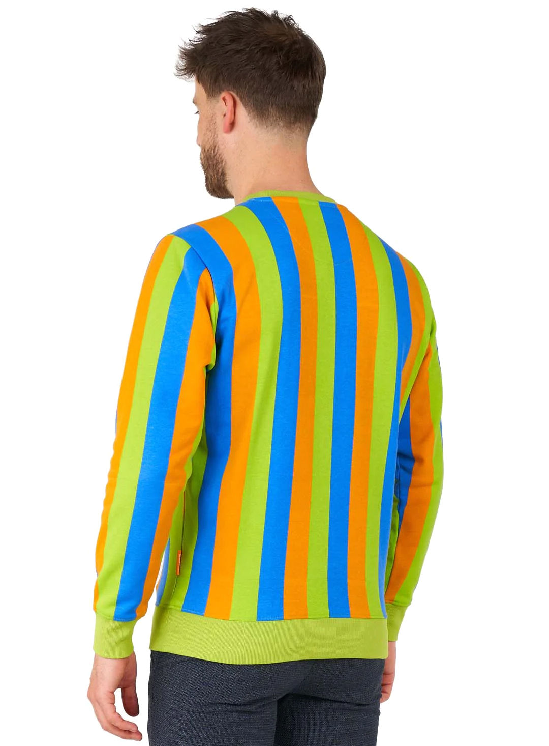 OppoSuits – Sesamstraße Bert Pullover