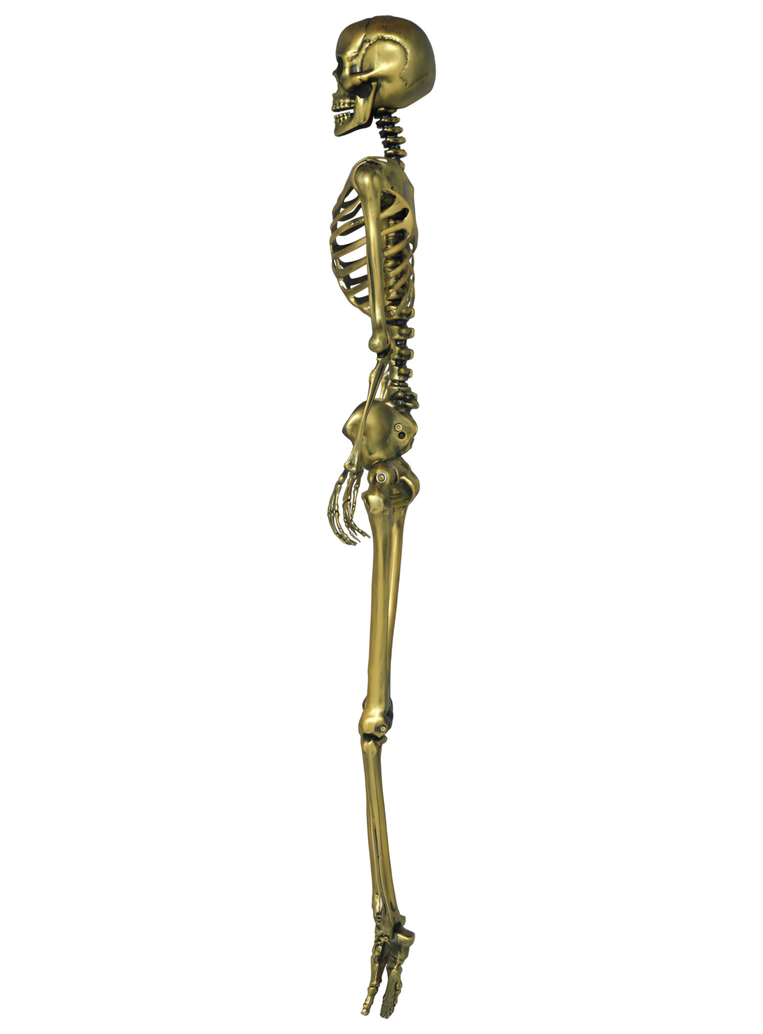 Goldenes Skelett – Halloweendeko 90 cm