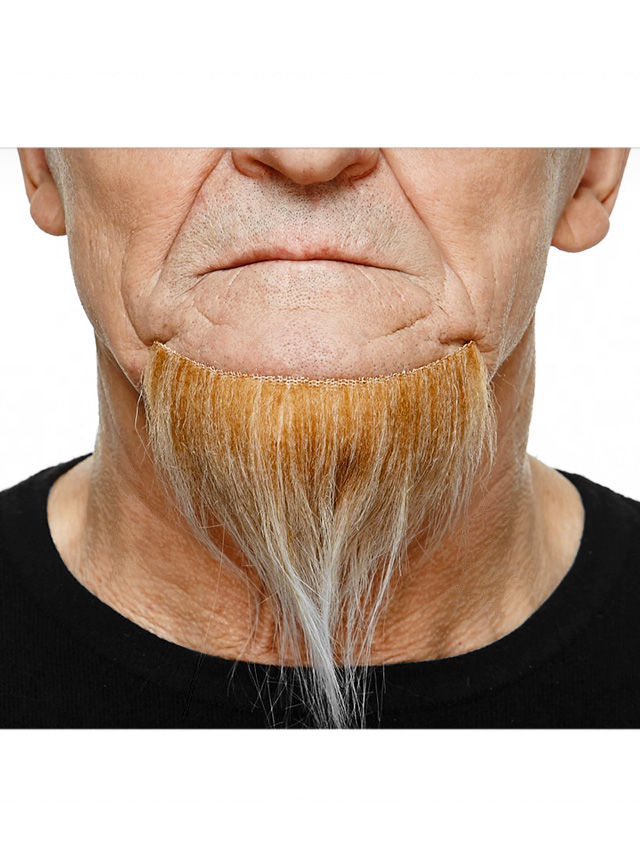 Goatee Kinnbart