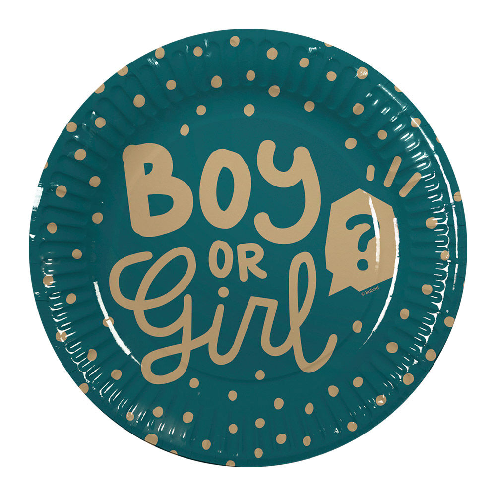 Boy or Girl Pappteller 10 Stück