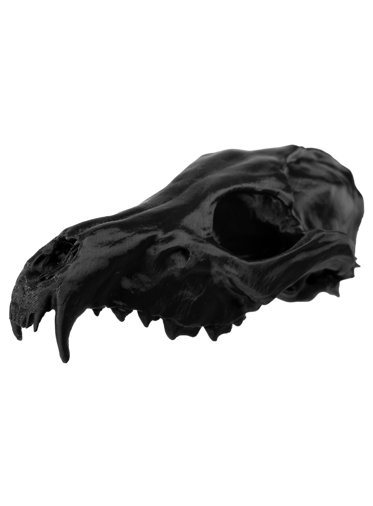 3D-Druck Fuchsschädel zum Selbstbemalen (16 cm)