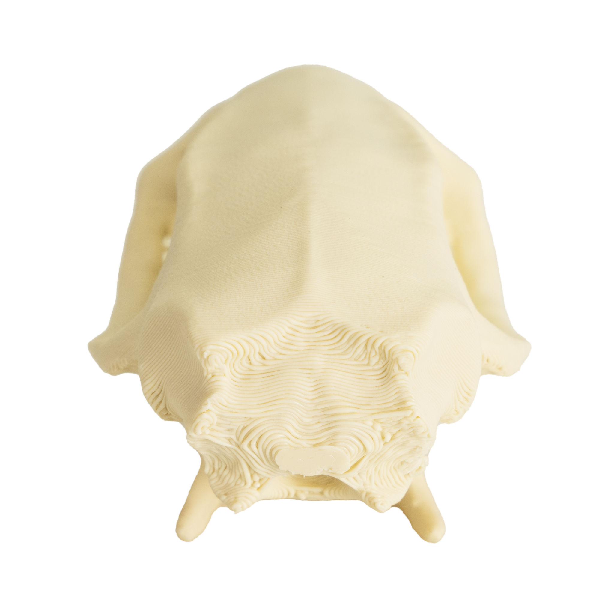 3D-Druck Rattenschädel zum Selbstbemalen (7cm)