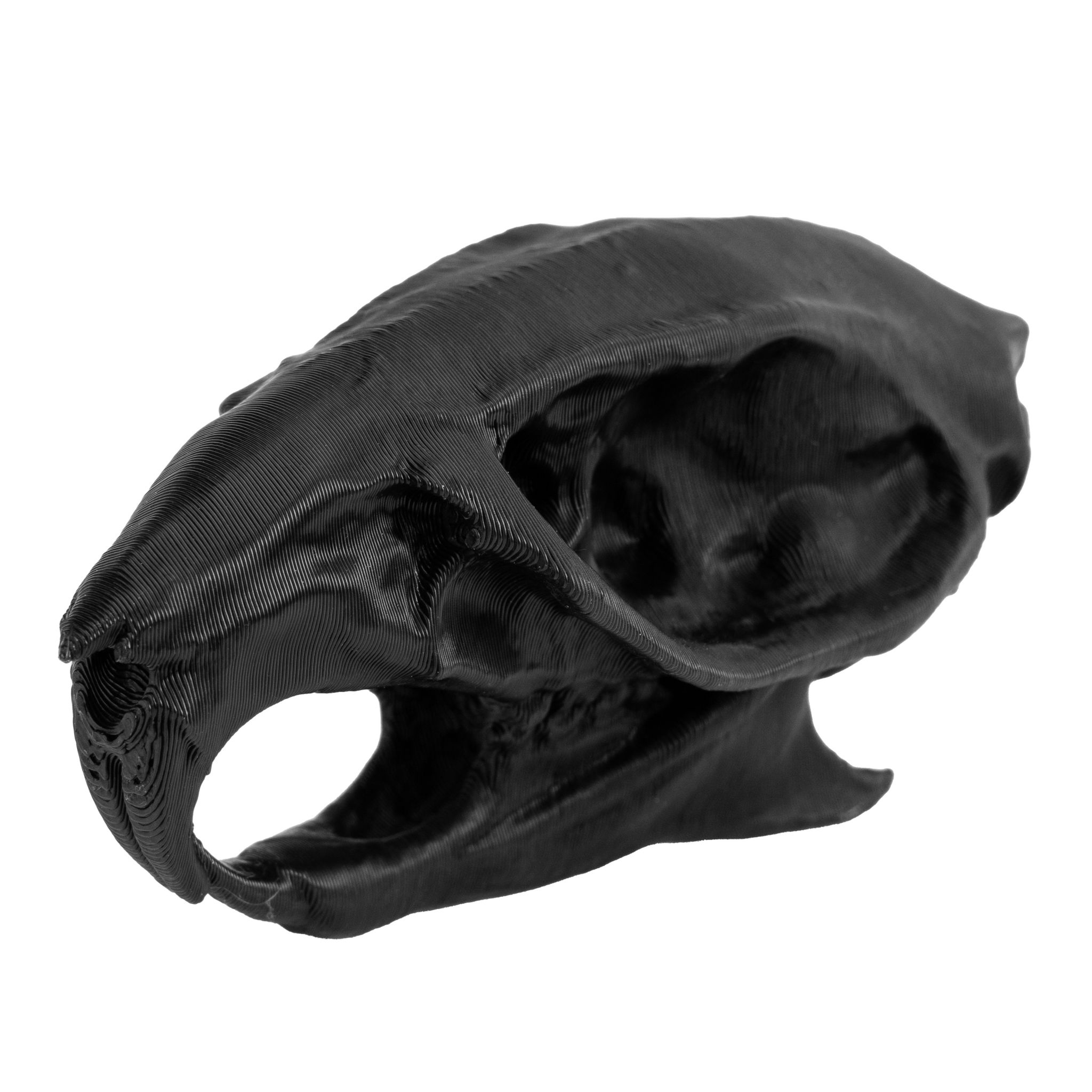 3D-Druck Rattenschädel zum Selbstbemalen (7cm)