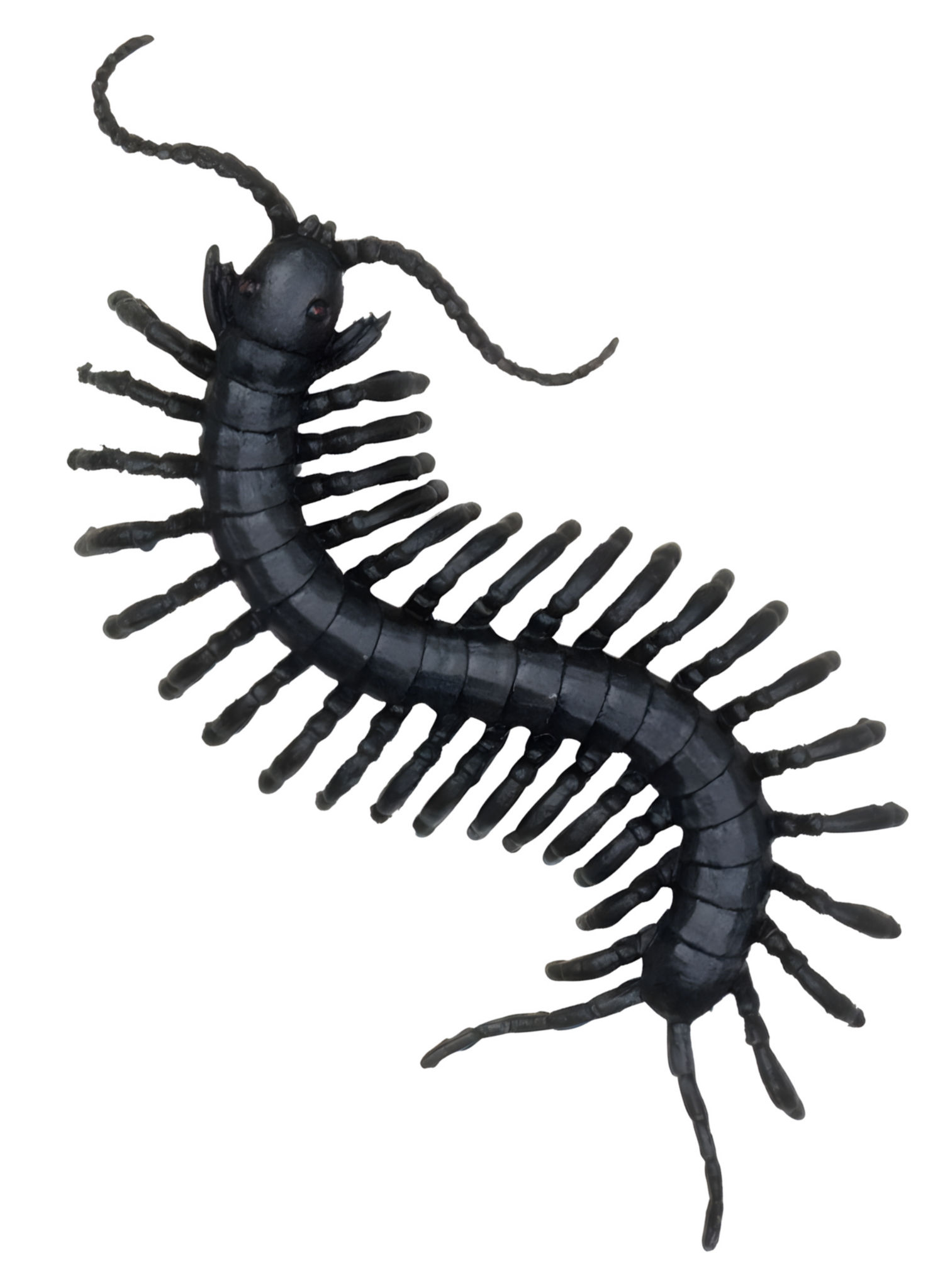 Gruseltiere Deko