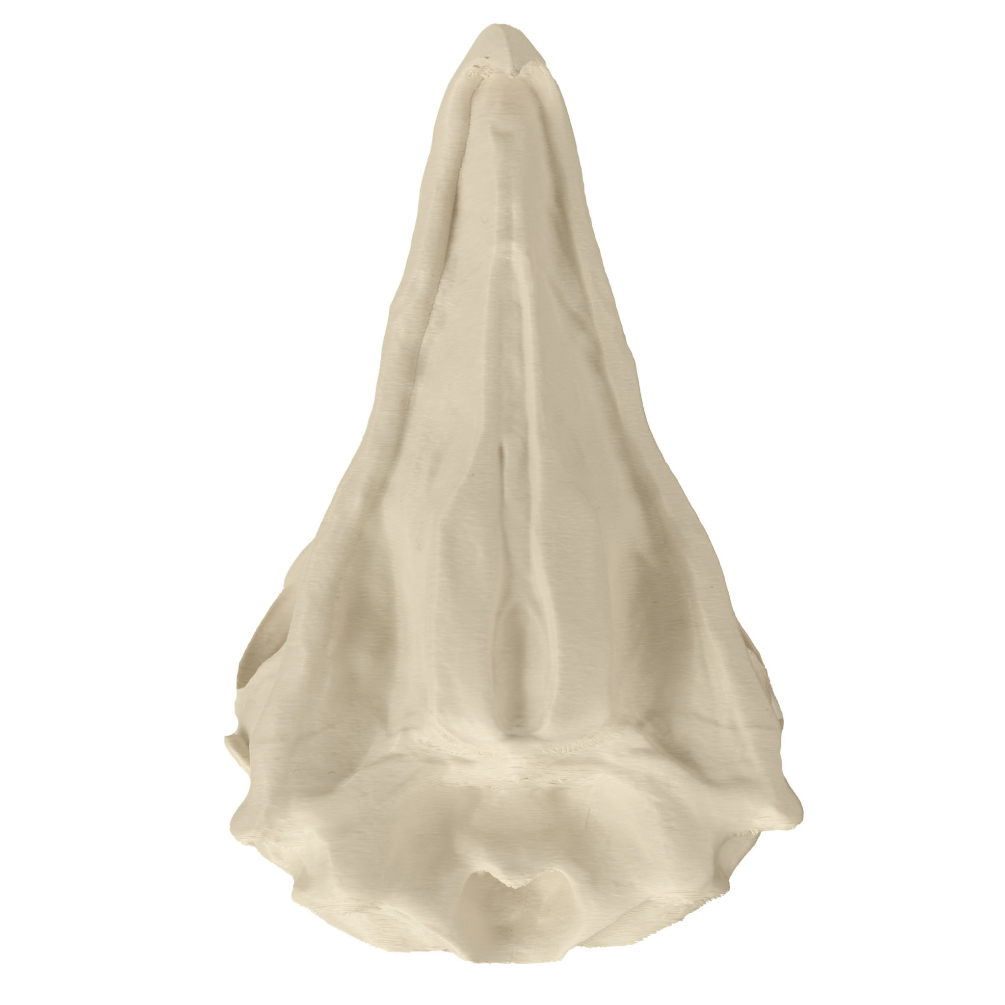 3D-Druck Adlerschädel zum Selbstbemalen (16 cm)