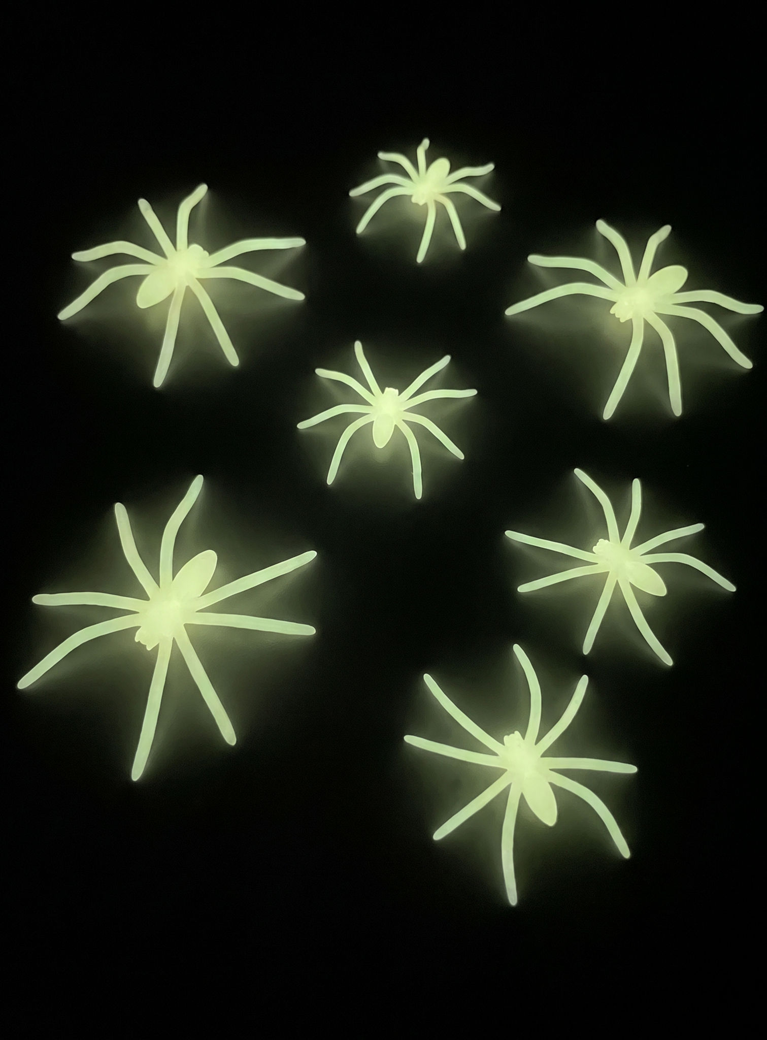 Leuchtende Spinnen
