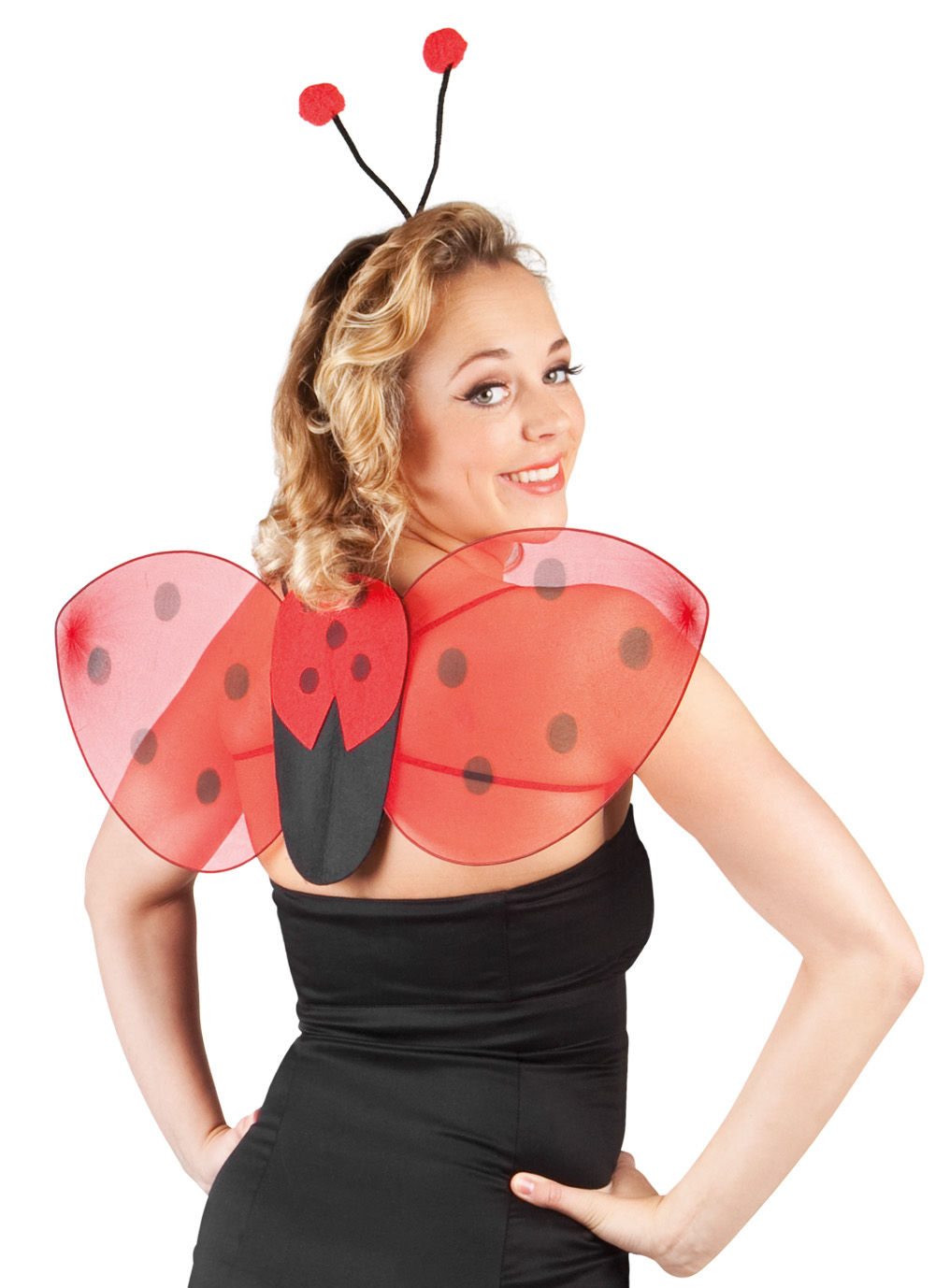 Lieveheersbeestje Accessoire Set