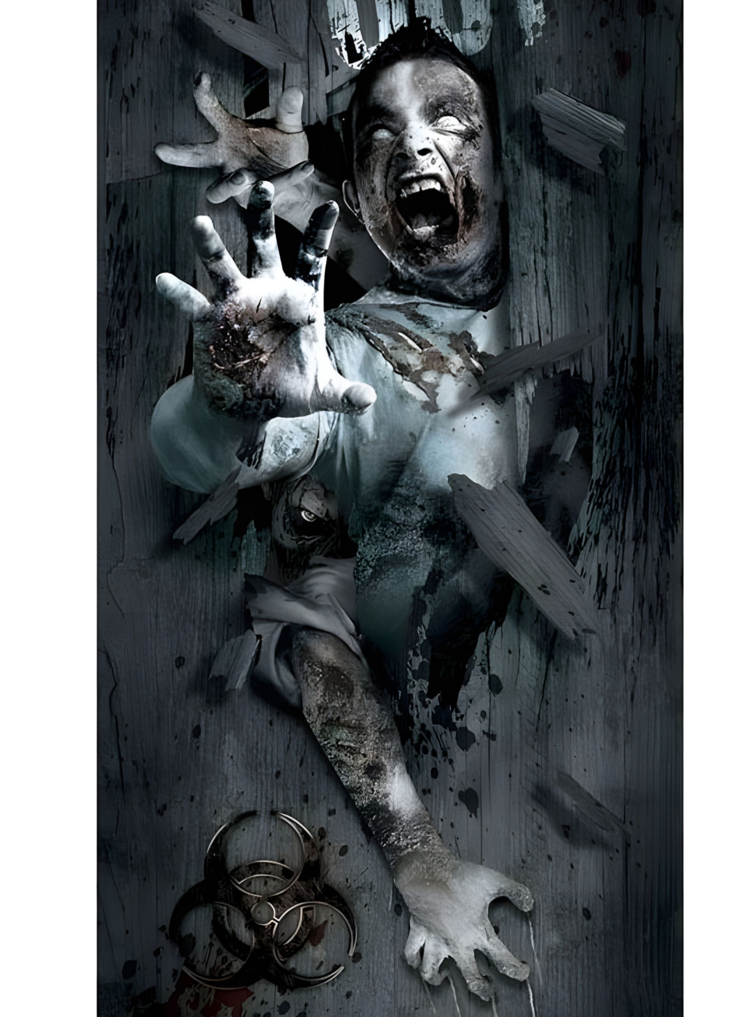 Horror Türbild – Halloweendeko 180 x 80 cm
