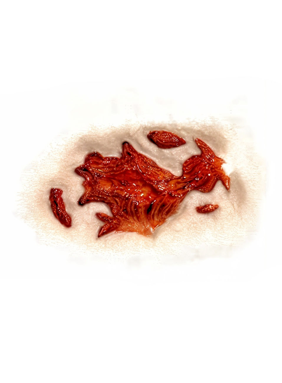 Klaffende Wunde 3D FX Transfers