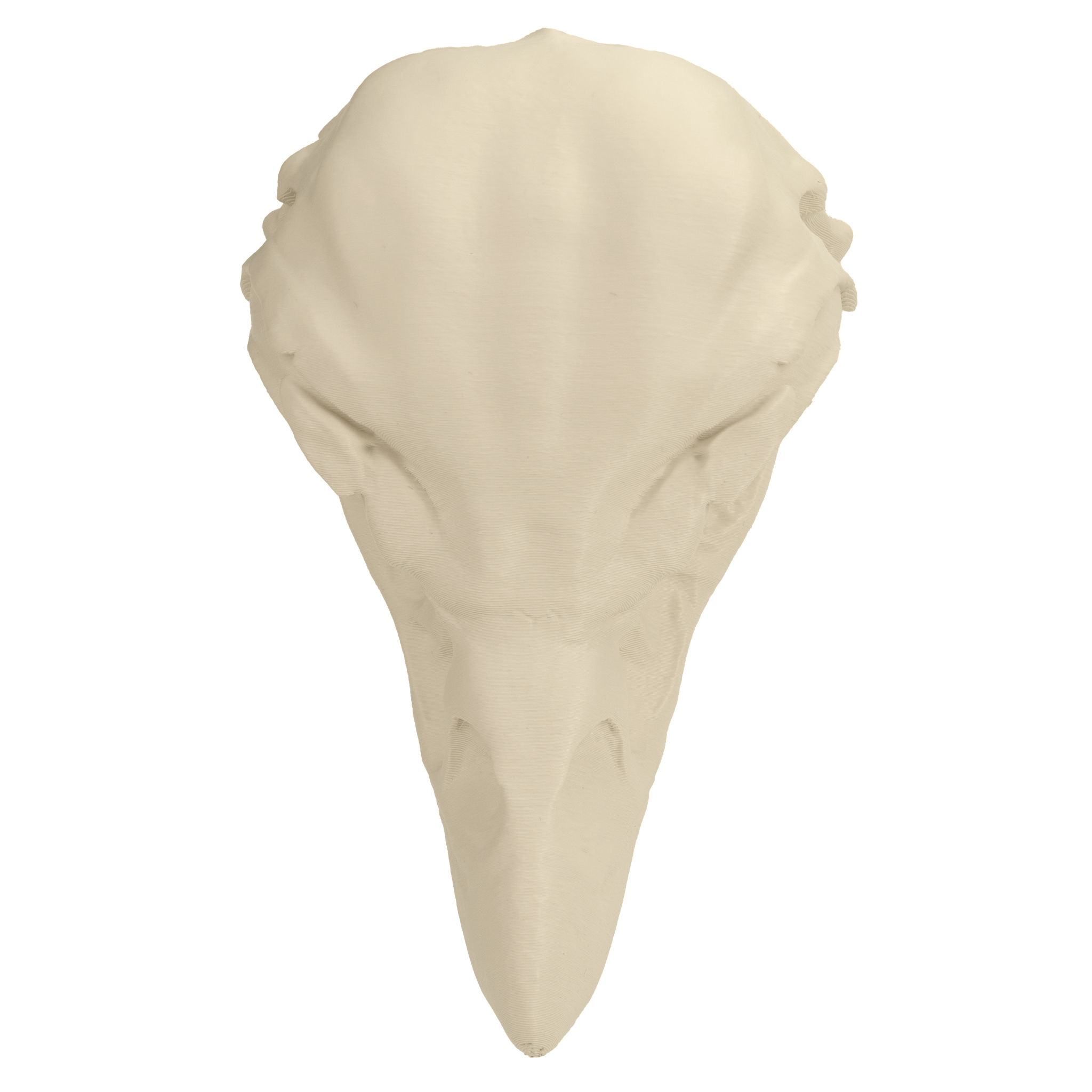3D-Druck Adlerschädel zum Selbstbemalen (16 cm)