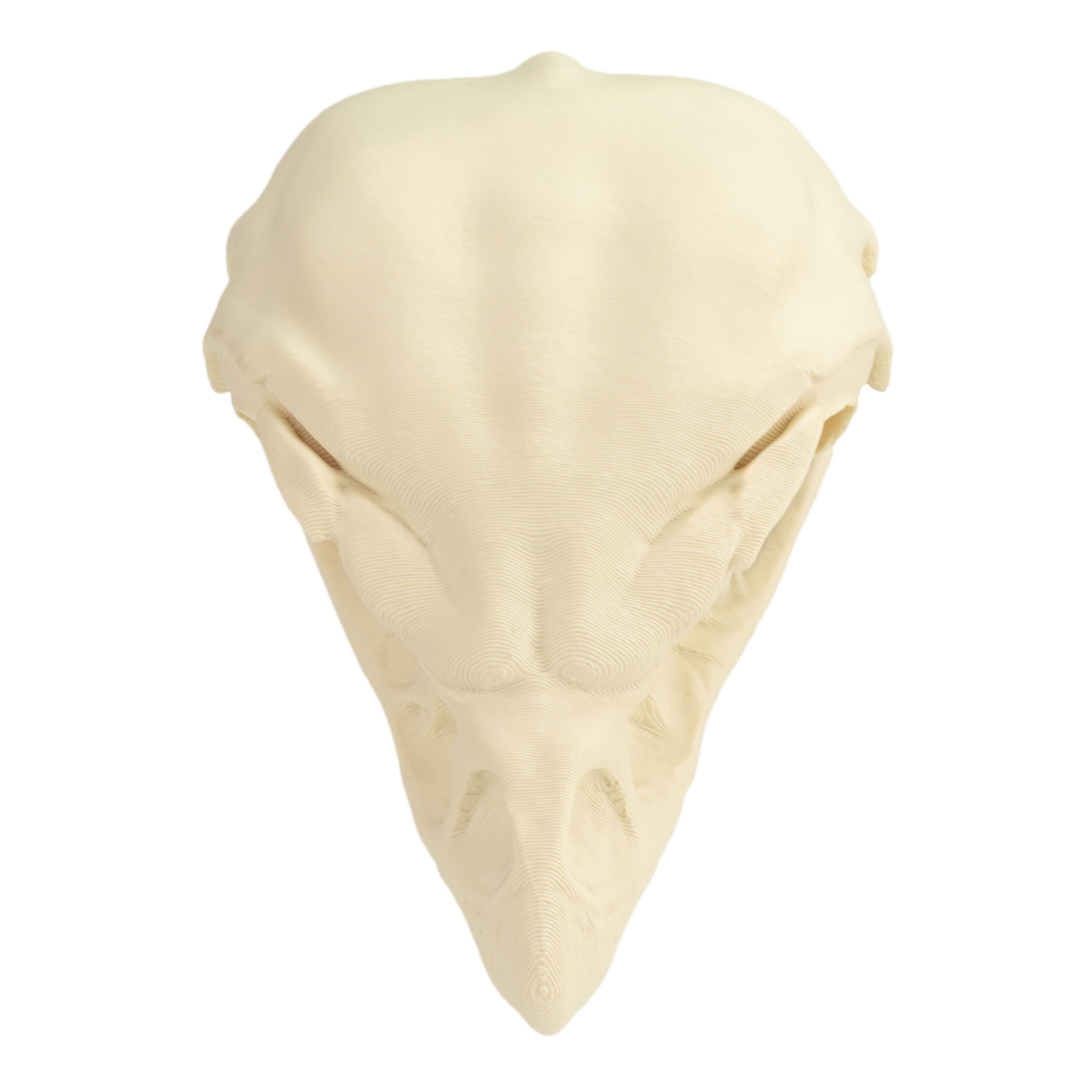 3D-Druck Falkenschädel zum Selbstbemalen (11cm)
