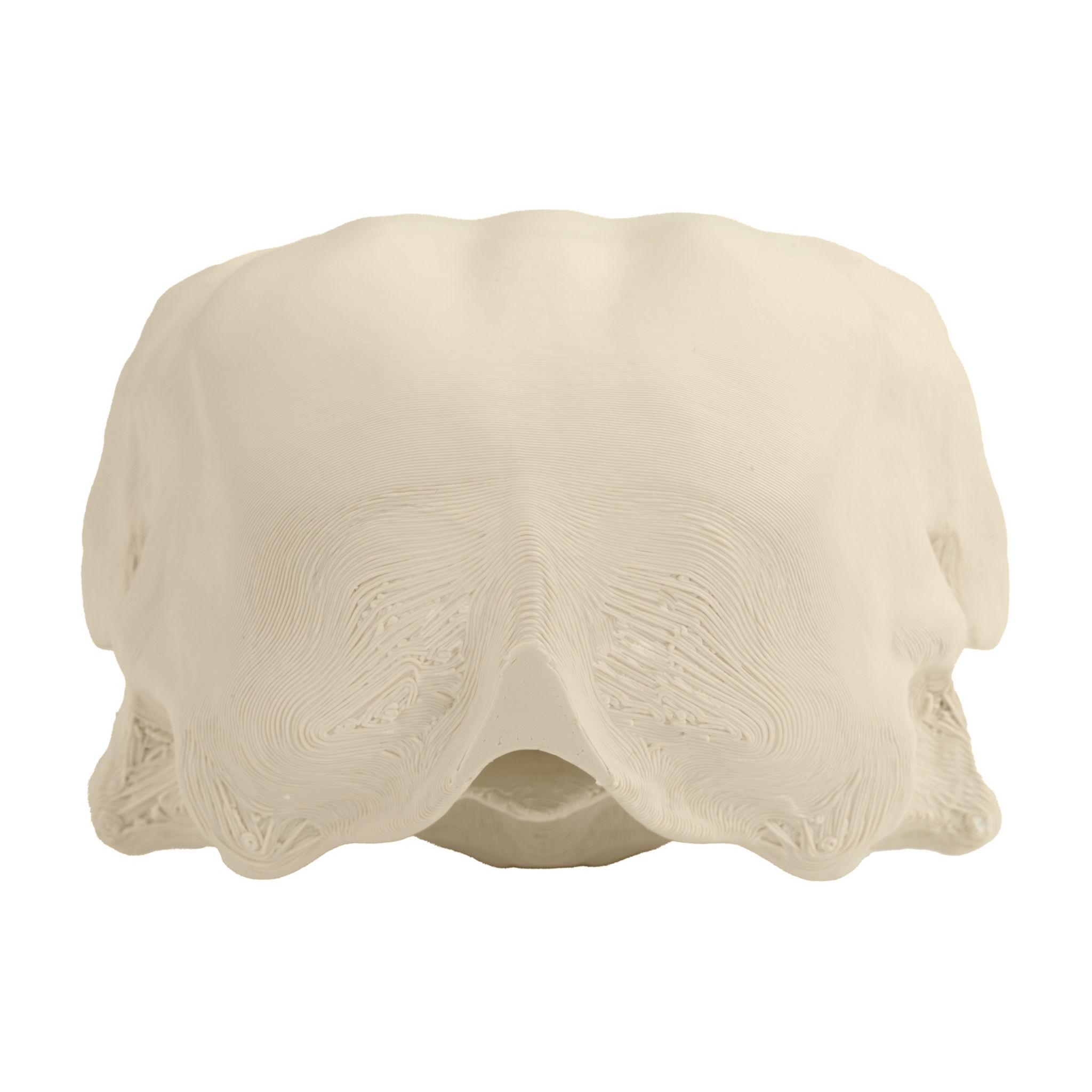 3D-Druck Adlerschädel zum Selbstbemalen (16 cm)